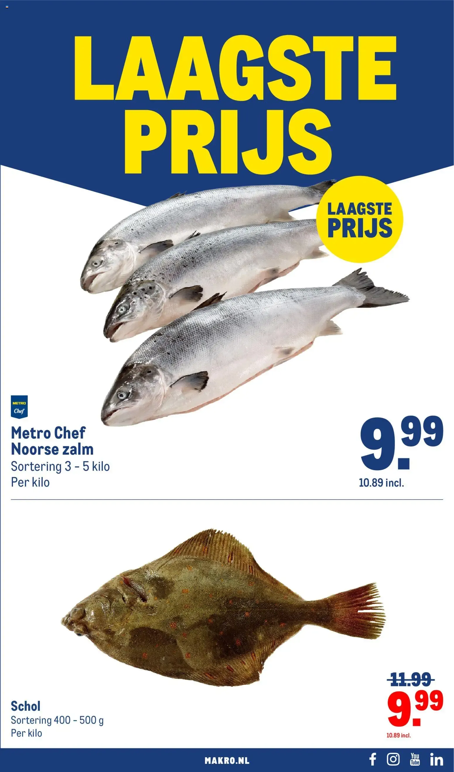 Makro folder vanaf 09-09-2026 || NIEUWE van 9 september tot 20 september 2026 - Folder pagina 31