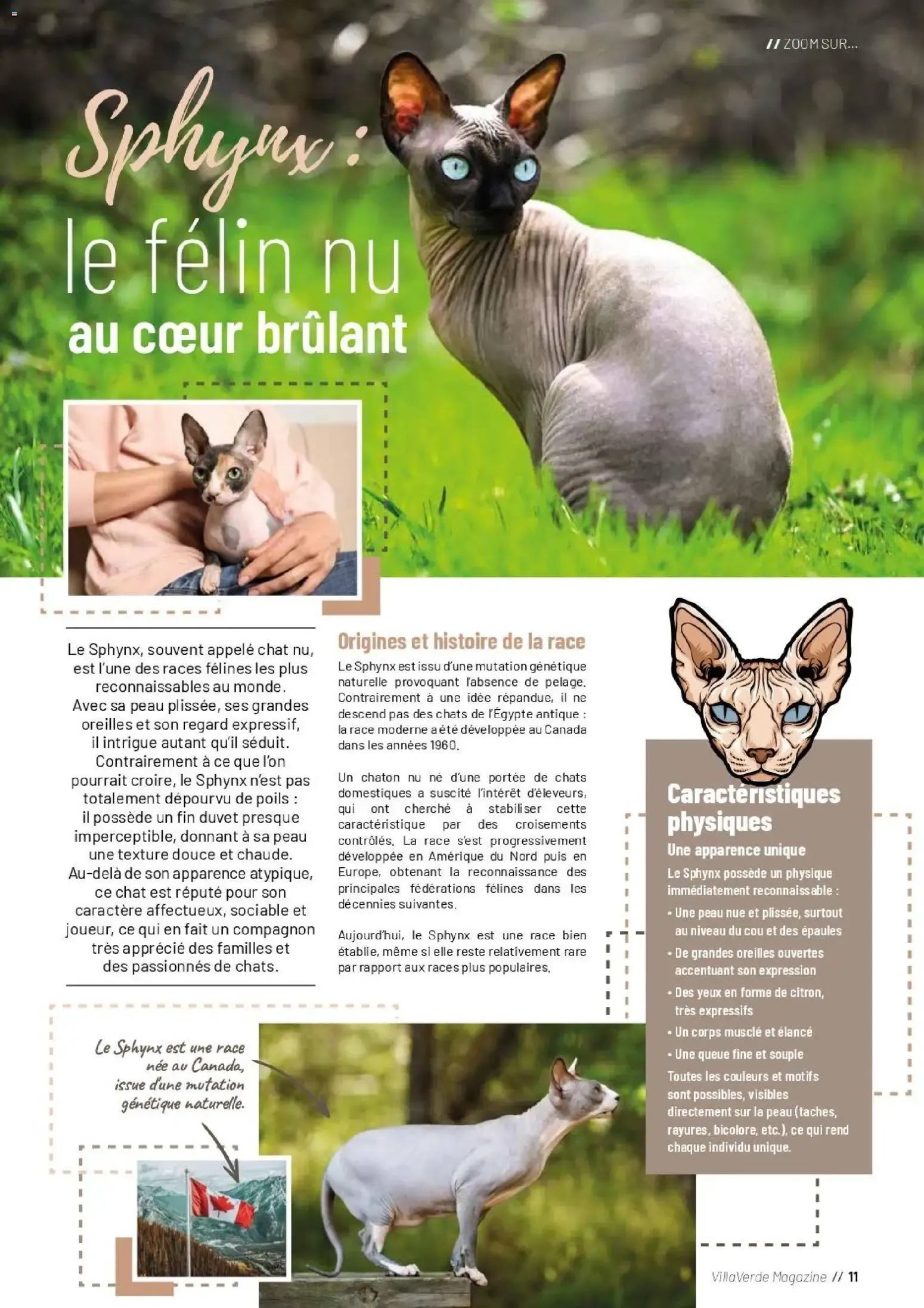 VillaVerde MAGAZINE ANIMALERIE 2026 du 28 mai au 31 août 2026 - Catalogue page 10
