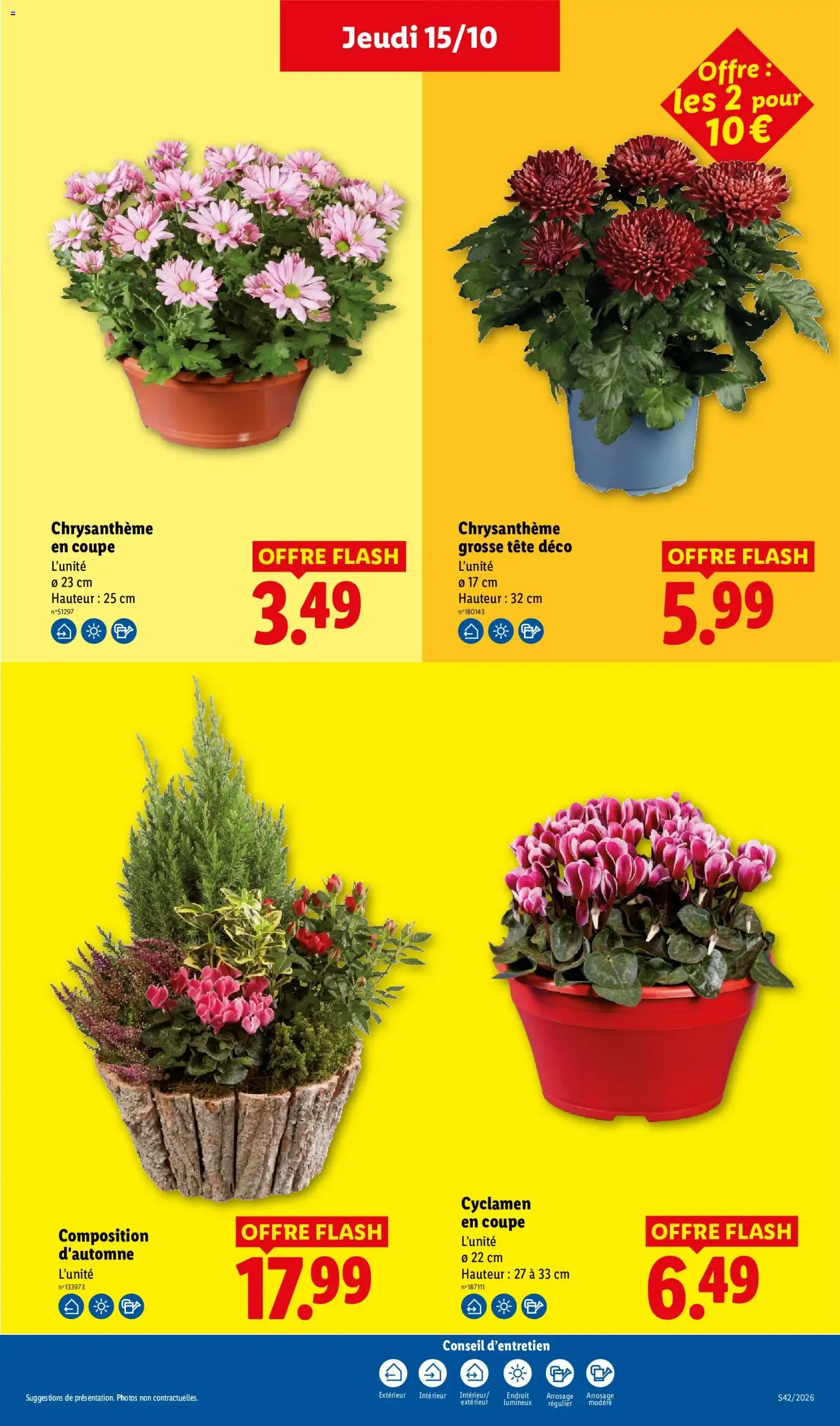 Catalogue LIDL du 15/10/2026 | Promo prospectus en ligne du 15 octobre au 21 octobre 2026 - Catalogue page 41