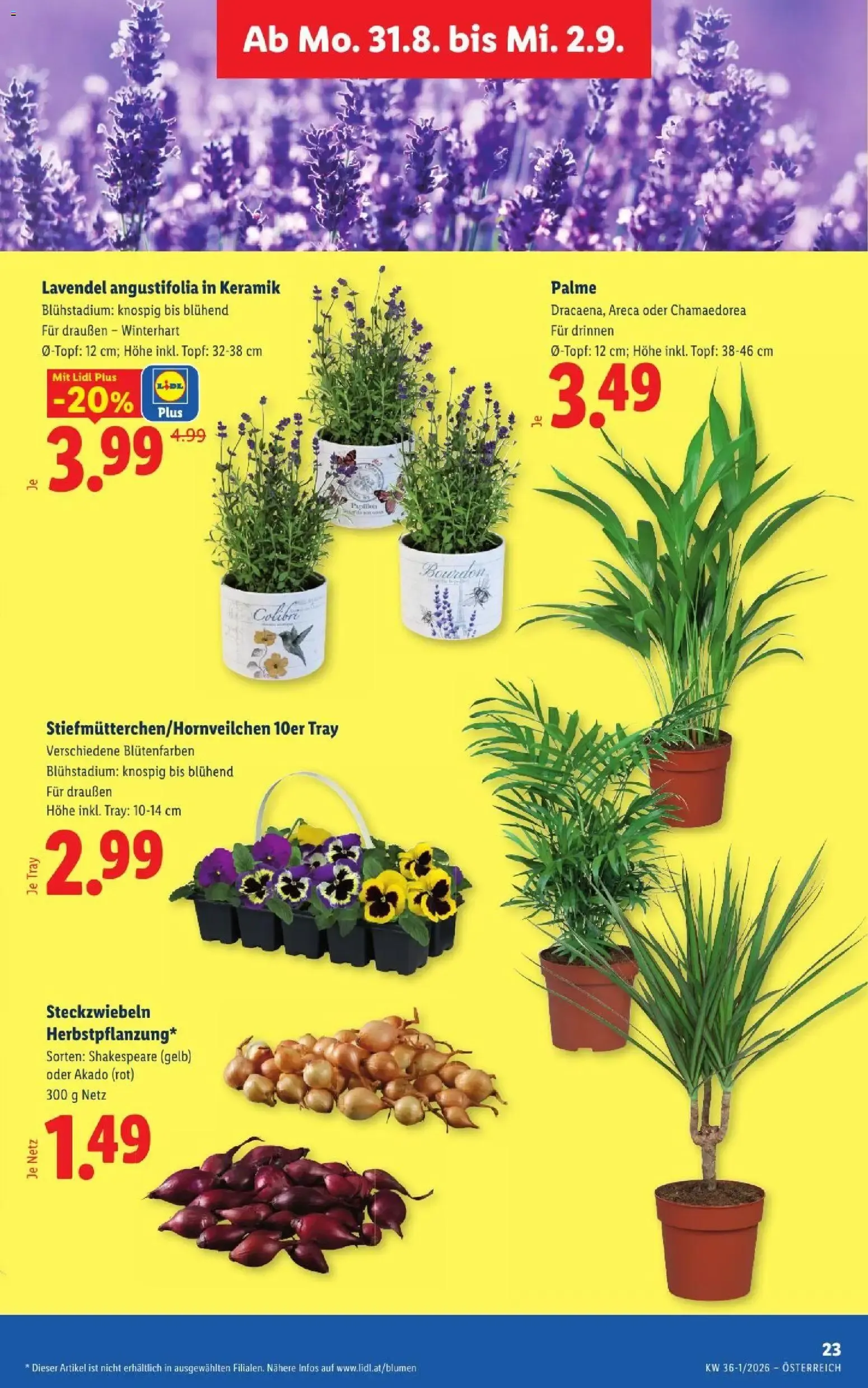 Lidl - Flugblatt ab 27.08.2026 - Angebote ab donnerstag von 27. August bis 29. August 2026 - Flugblätt seite 30