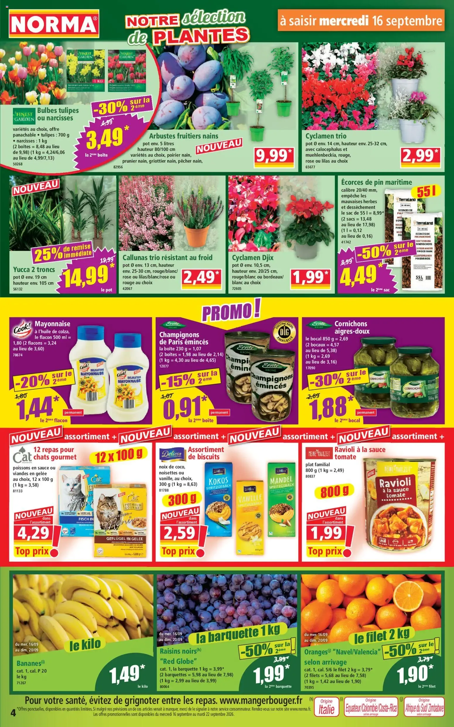 Norma Votre Discounter Régional du 16 septembre au 22 septembre 2026 - Catalogue page 4