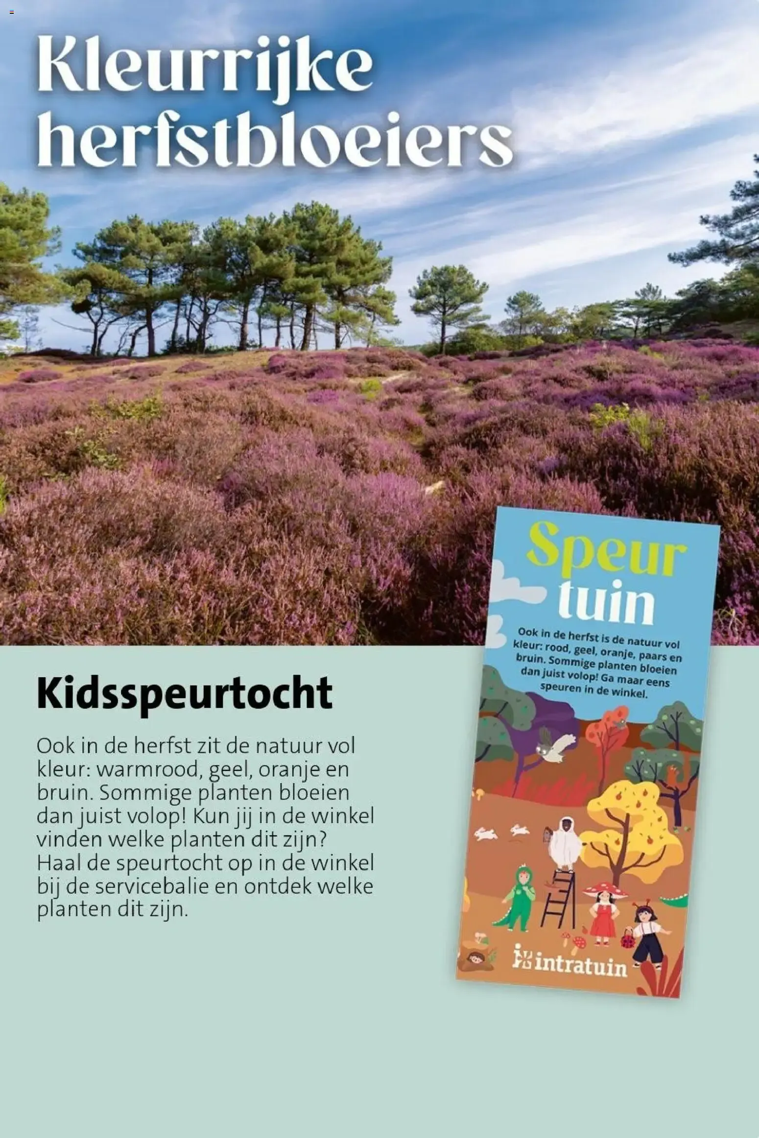 Bloemen met flair van 7 september tot 13 september 2026 - Folder pagina 15