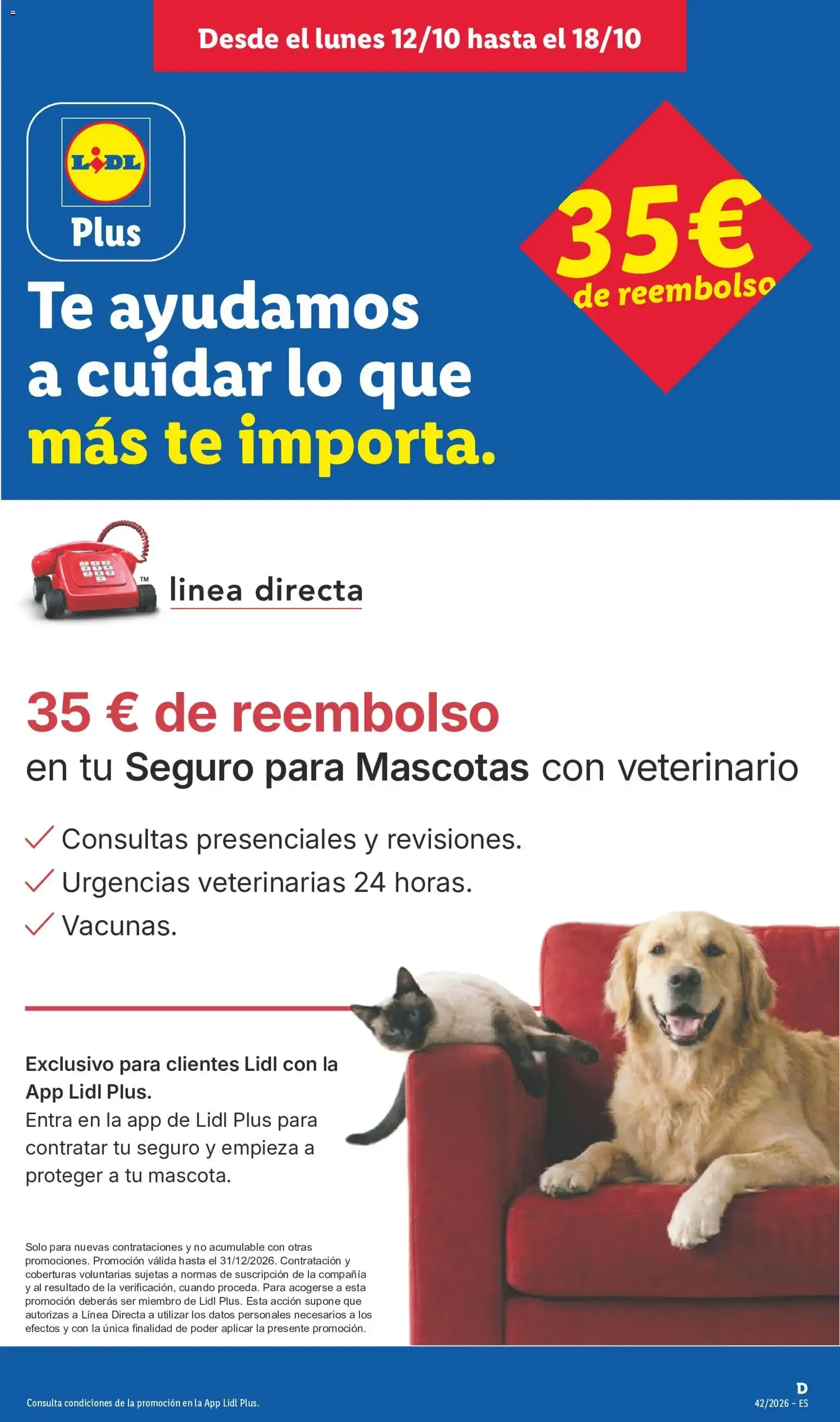 Catálogo de Lidl folleto de bazar del 12/10/2026 | Ofertas 12 de octubre al 18 de octubre 2026 - Página 15