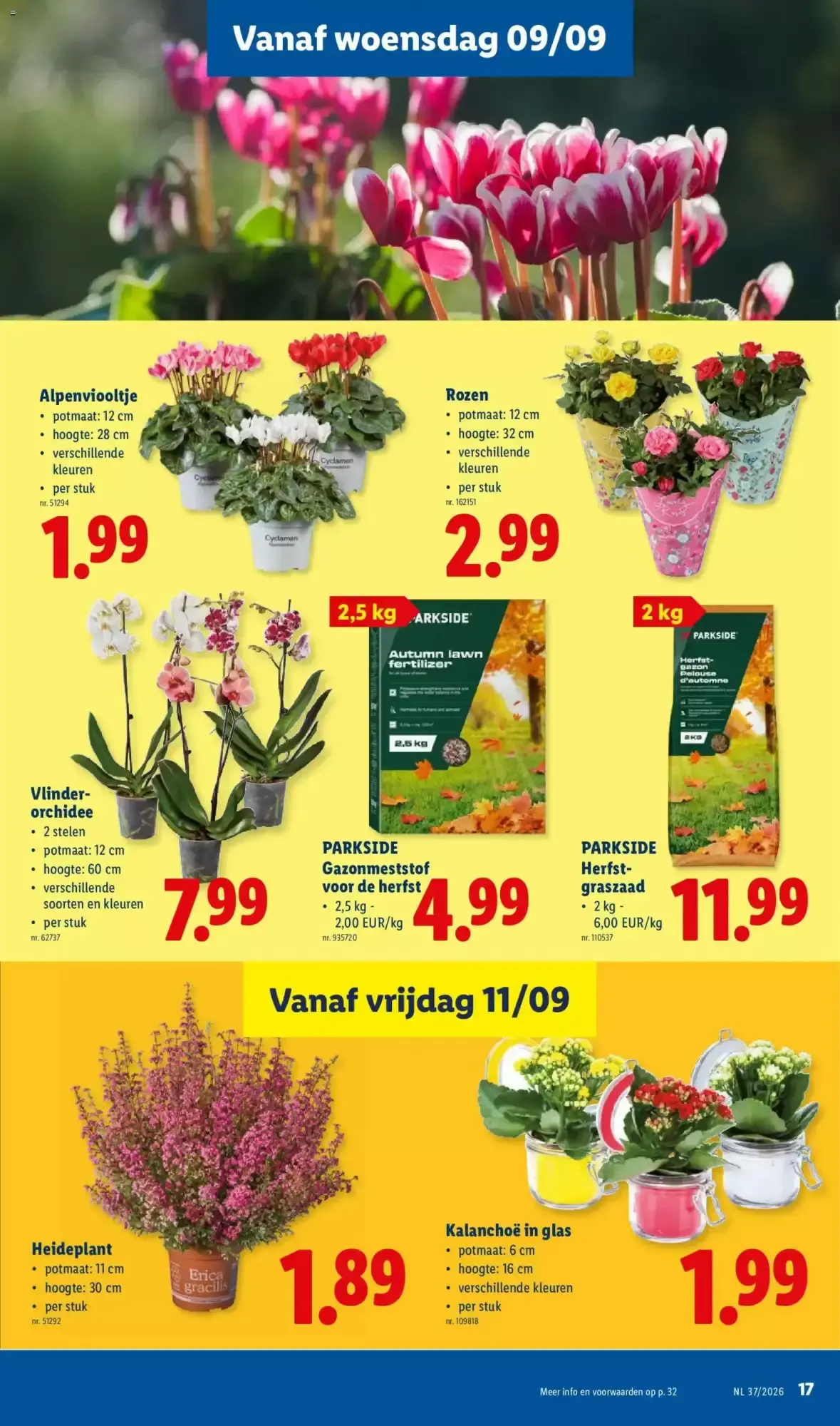 Lidl folder week 37 van 7 september tot 12 september 2026 - folder pagina 17