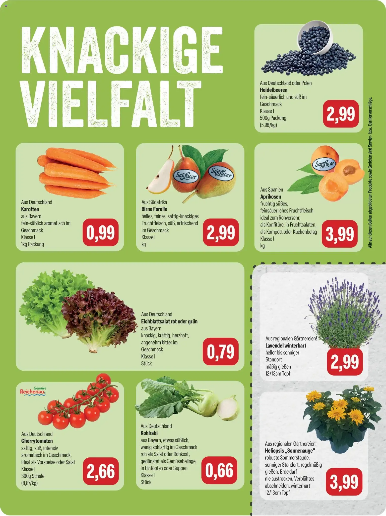 Feneberg Angebote (ab 30.07.2026) zum Blättern von 30. Juli bis 1. August 2026 - Prospekt seite 7