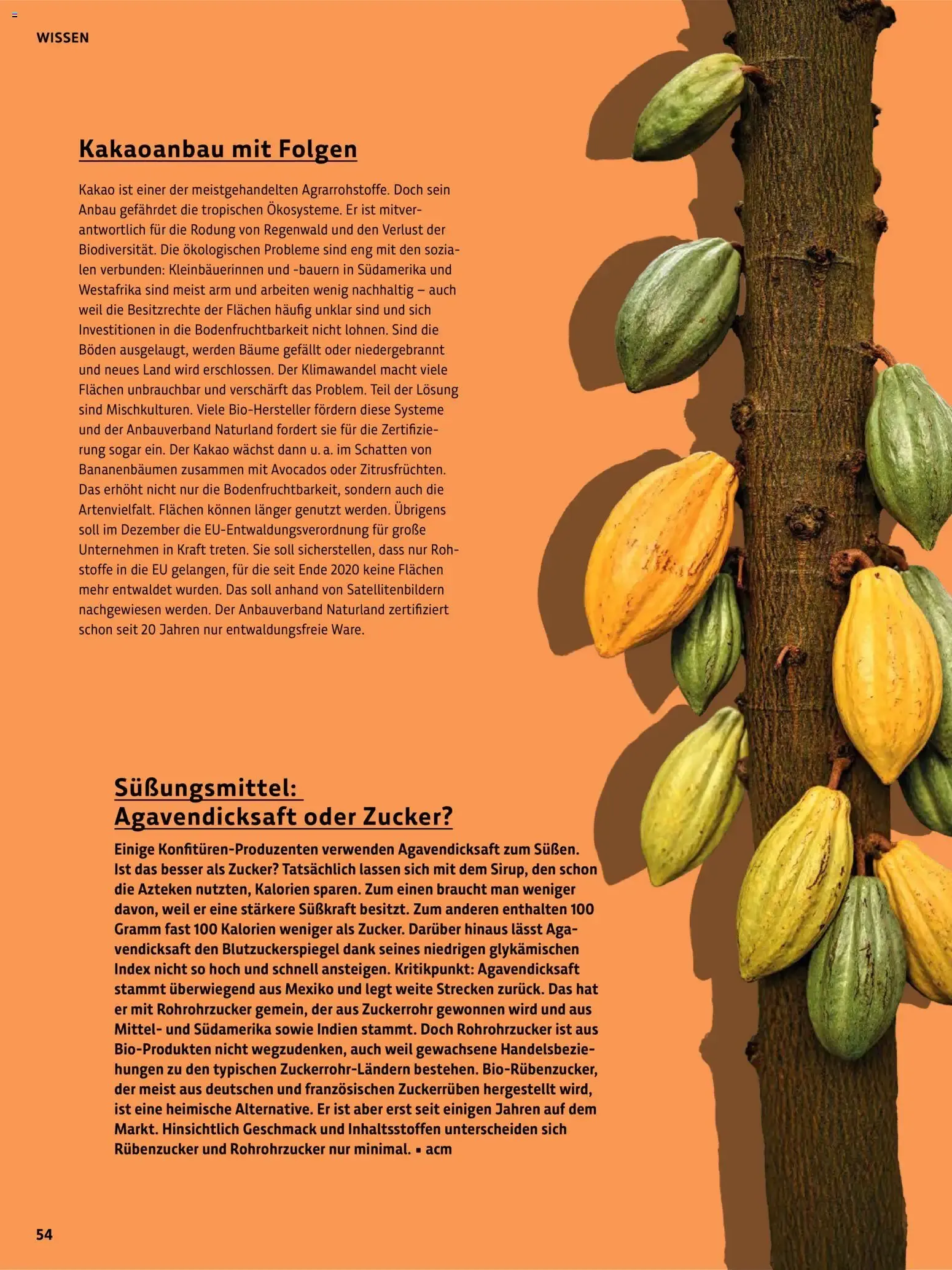 Das BioMarkt Magazin KREO von 17. Juli bis 30. September 2026 - Prospekt seite 53