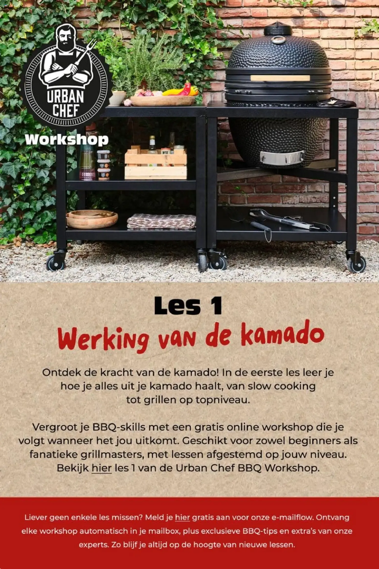 Intratuin: Laat de zomer beginnen! van 22 juni tot 28 juni 2026 - Folder pagina 16