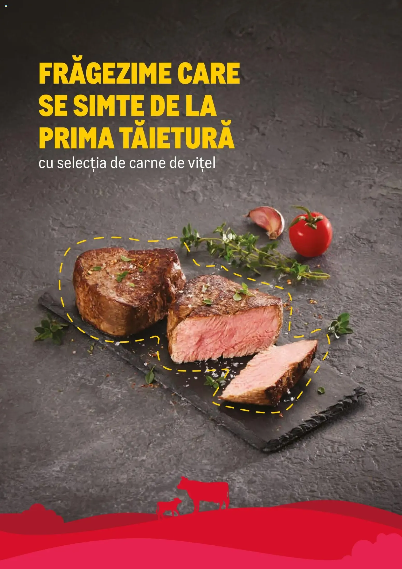 Catalog Metro catalog - Selectie Carne de vițel - Oferta 23.02.2026 - 31.12.2026 de la 23 februarie până la 31 decembrie 2026 - Revista Pagina 10