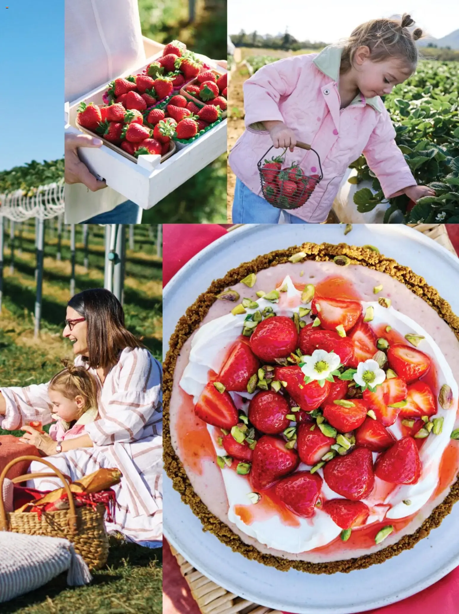 fresh - Catalogue valid from 1 September to 30 September 2026 - page 71