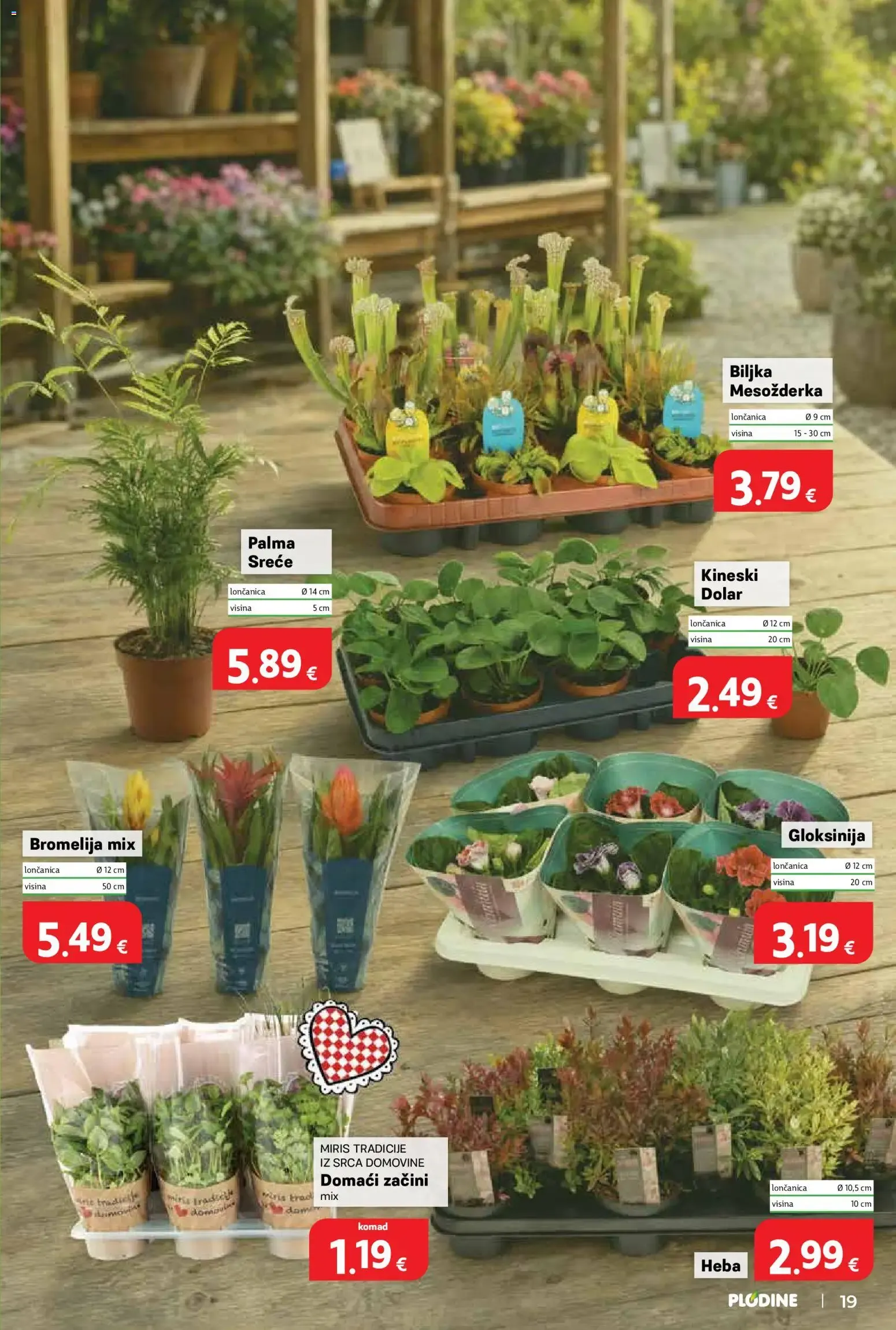 Katalog Plodine Katalog novi od 29.07.2026 na listanje > letak digitalni od 29. srpnja do 4. kolovoza 2026. - Pregled Stranica 19