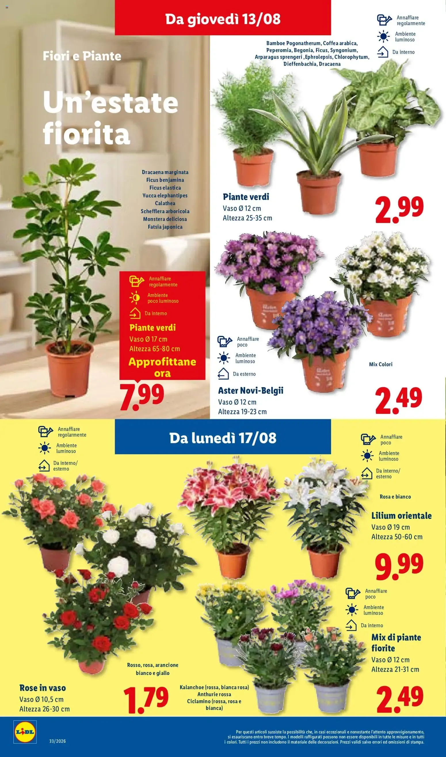 LIDL Ferragosto fino al -50% da 13 agosto a 19 agosto di 2026 - Pagina del volantino 28
