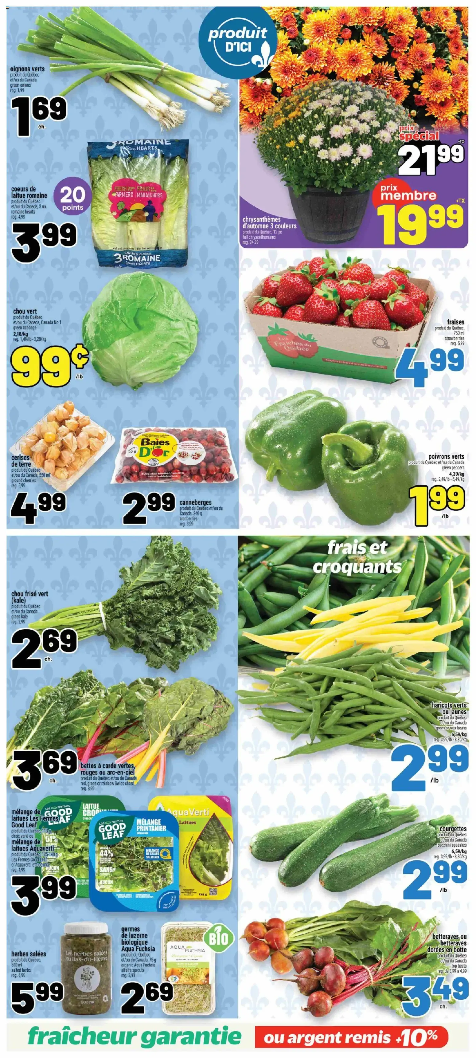 Metro circulaire from Sep 17, 2026 > weekly specials & deals from September 17 to September 23 2026 - flyer page 7