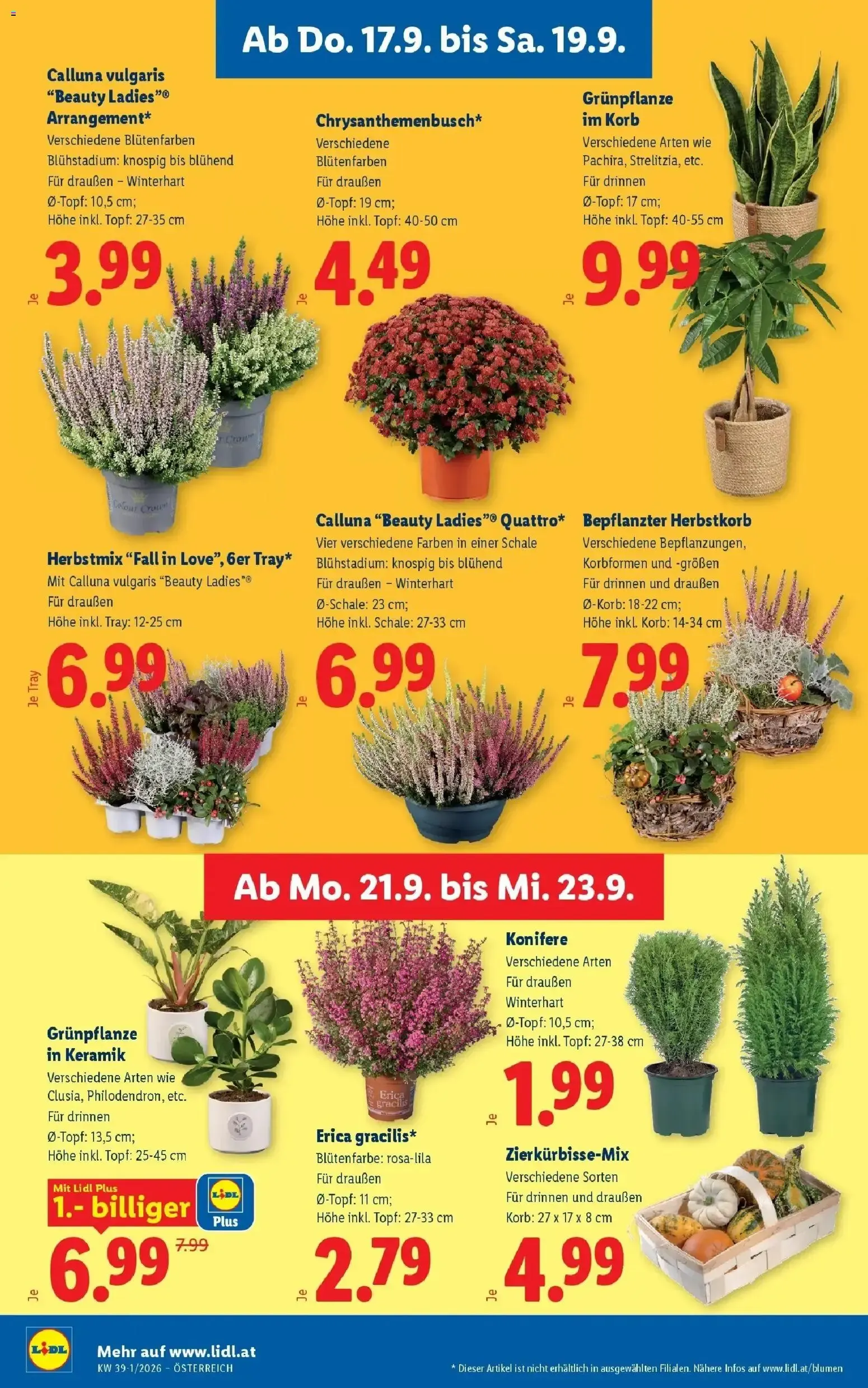Lidl Aktion von 17. September bis 19. September 2026 - Flugblätt seite 28