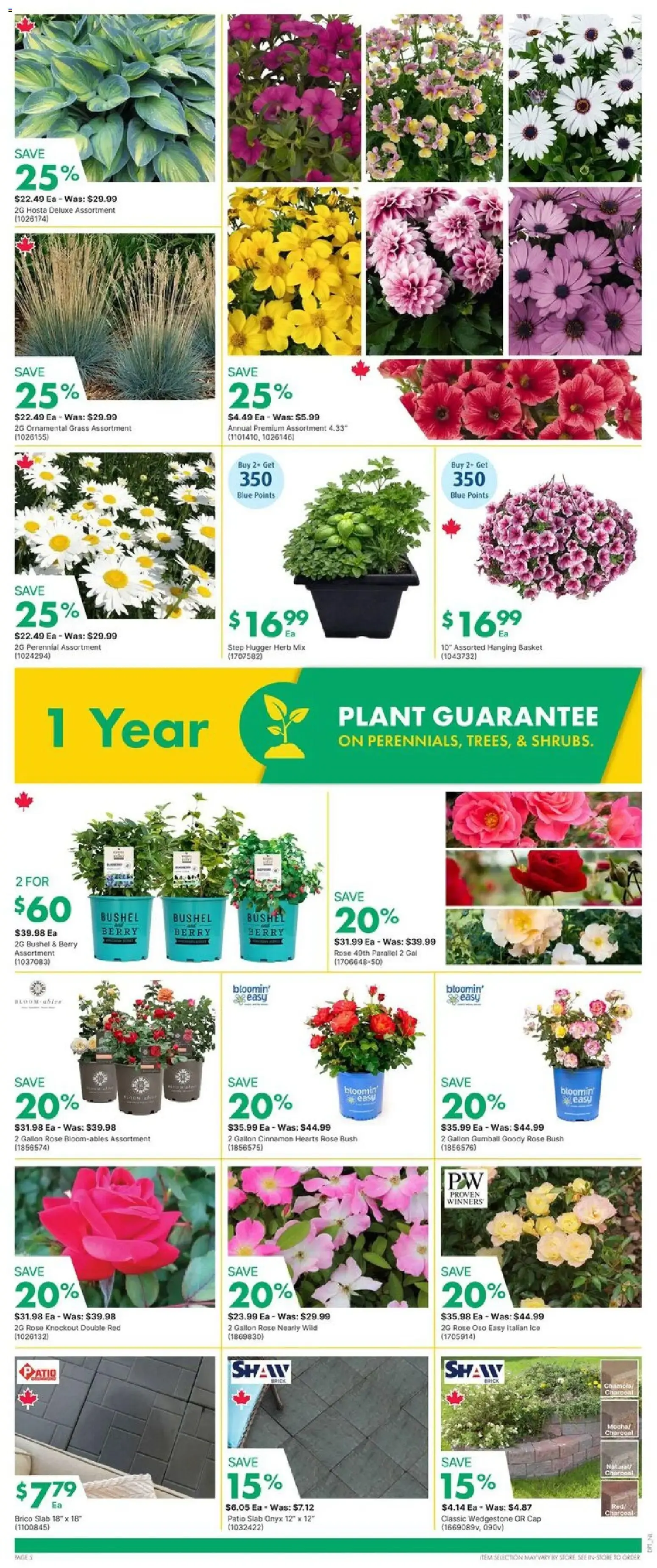 Kent weekly flyer - NL from Jun 11, 2026 > weekly specials & deals from June 11 to June 17 2026 - flyer page 5