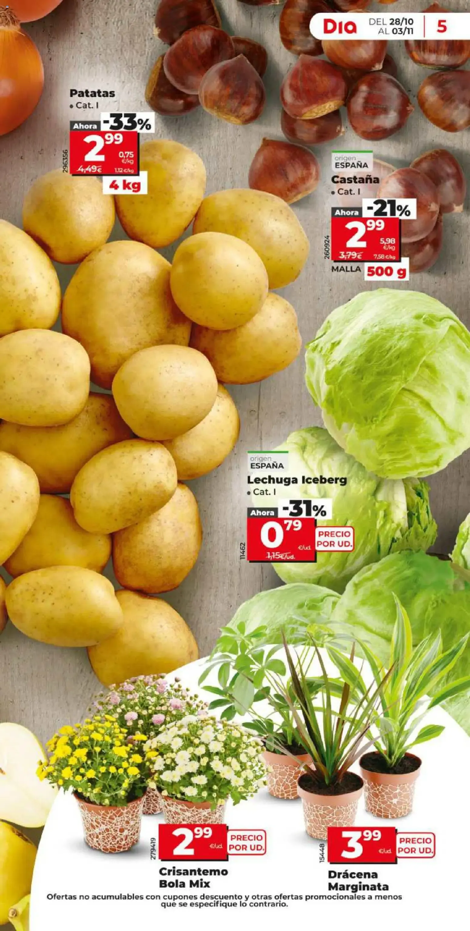 Catálogo de Día: Más de 100 productos a 1€ 28 de octubre al 3 de noviembre 2026 - Página 5