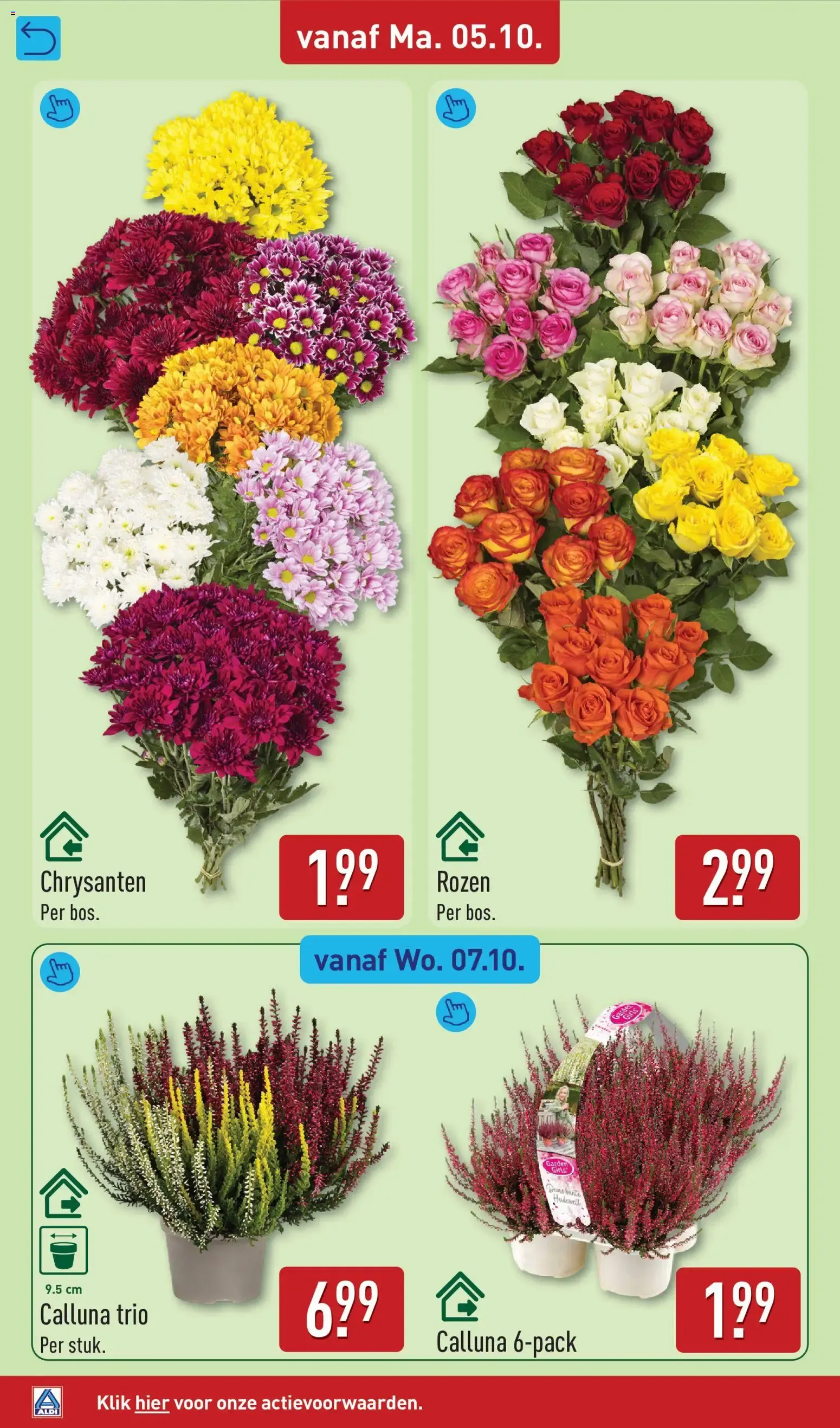 Aldi folder vanaf 05-10-2026 (volgende, deze week) van 5 oktober tot 11 oktober 2026 - Folder pagina 38