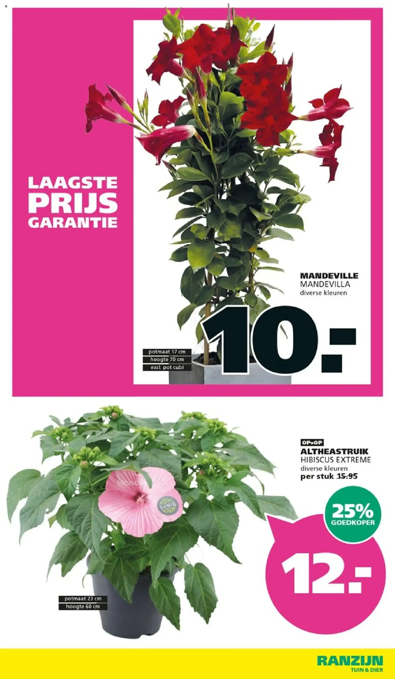 Ranzijn Tuin & Dier: Smakelijk Voordeel van 28 juni tot 11 juli 2026 - Folder pagina 12