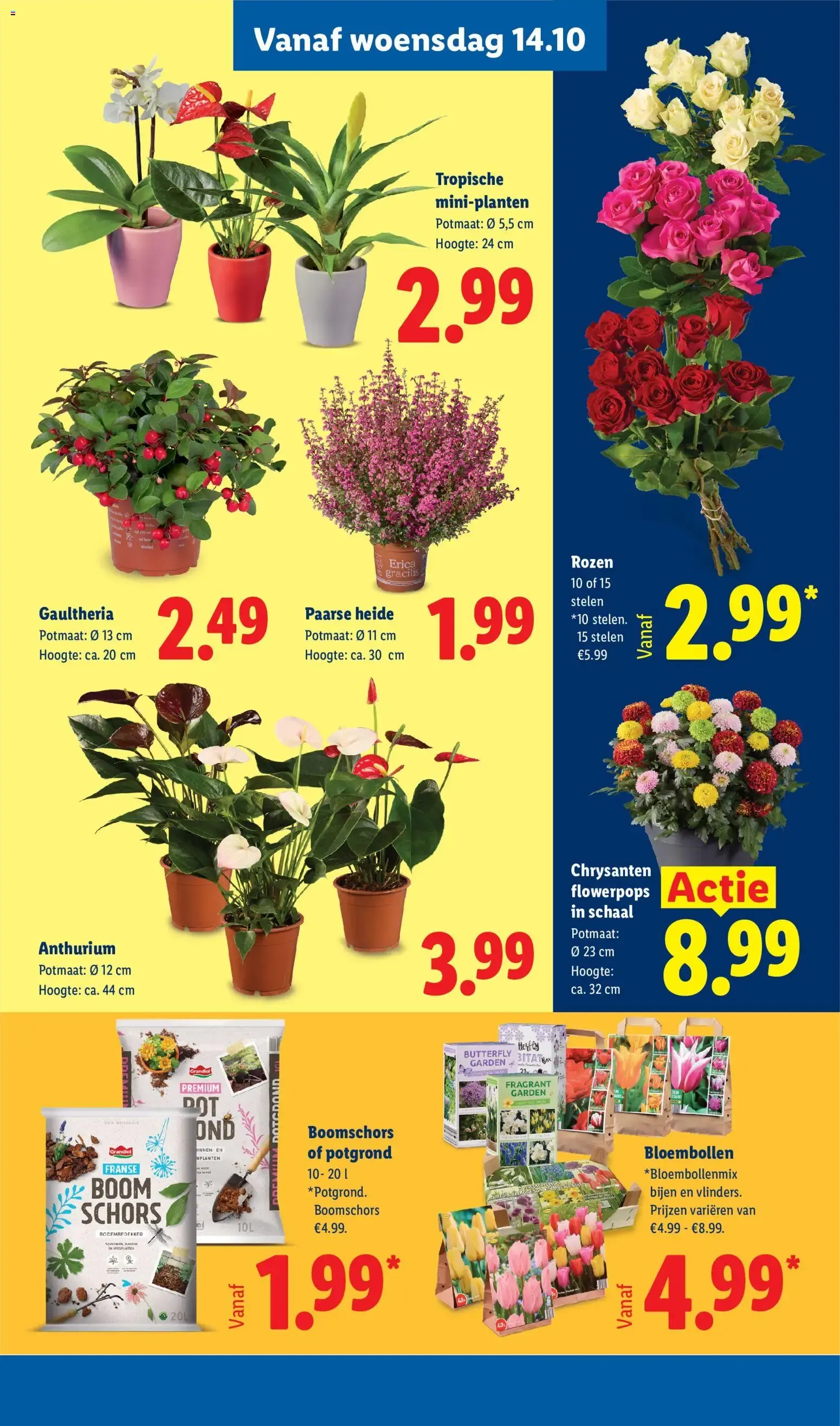 Lidl folder vanaf 12-10-2026 -- NIEUWE van 12 oktober tot 18 oktober 2026 - Folder pagina 24