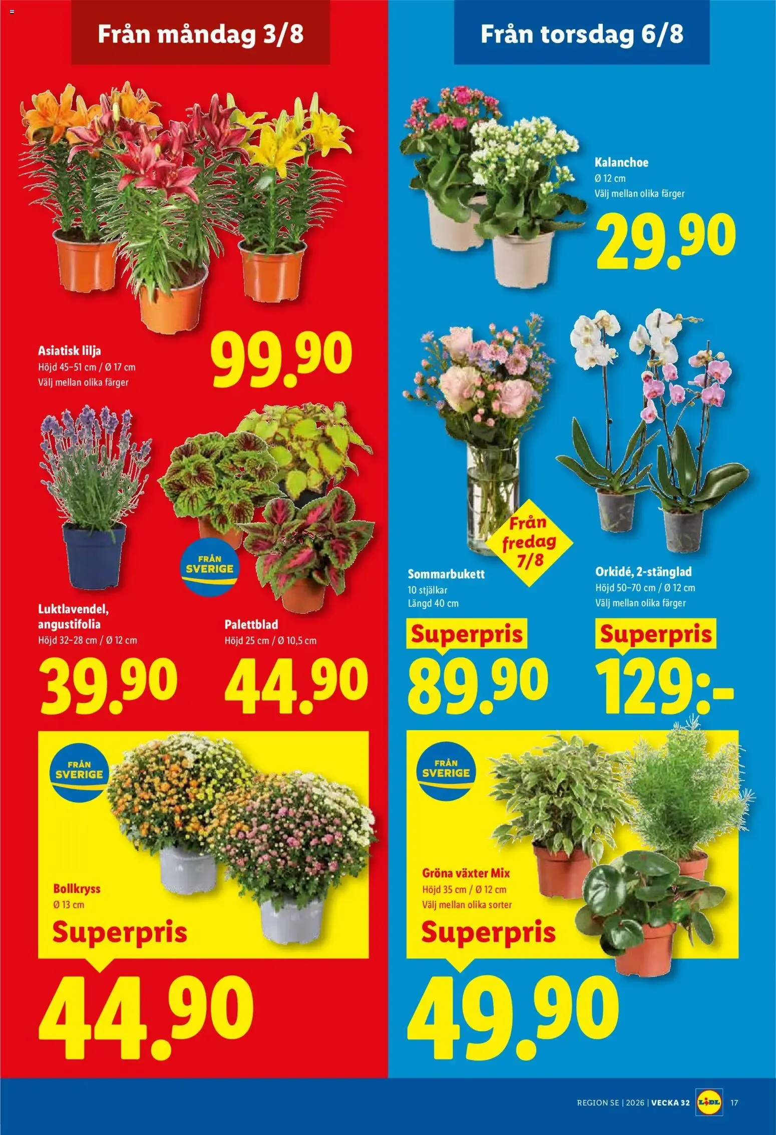 Lidl erbjudanden från 03/08/2026 - 09/08/2026 > Reklamblad nuvarande rabatter från 3 augusti till 9 augusti 2026 - Reklamblad sidor 19