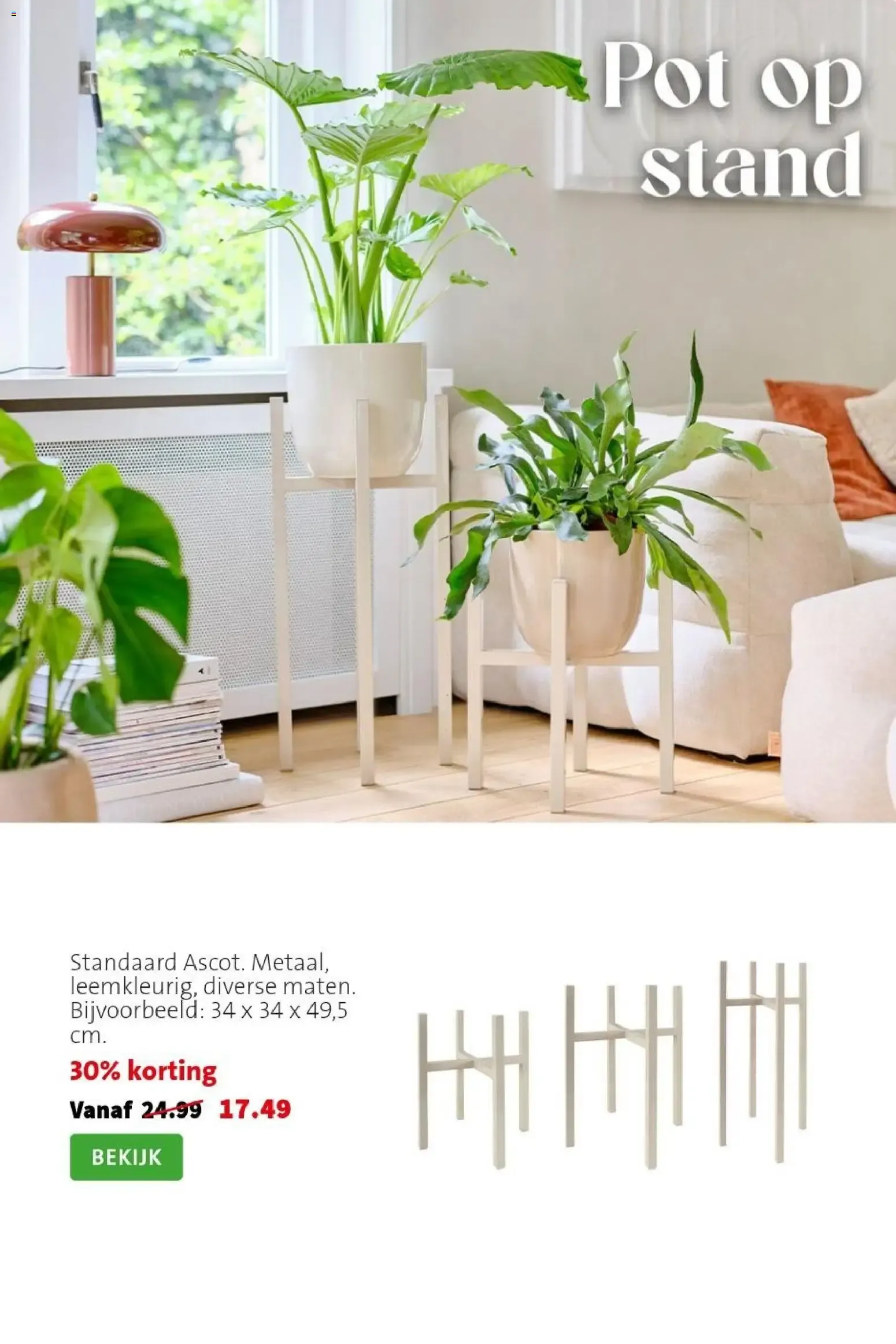 Bloemen met flair van 7 september tot 13 september 2026 - Folder pagina 5