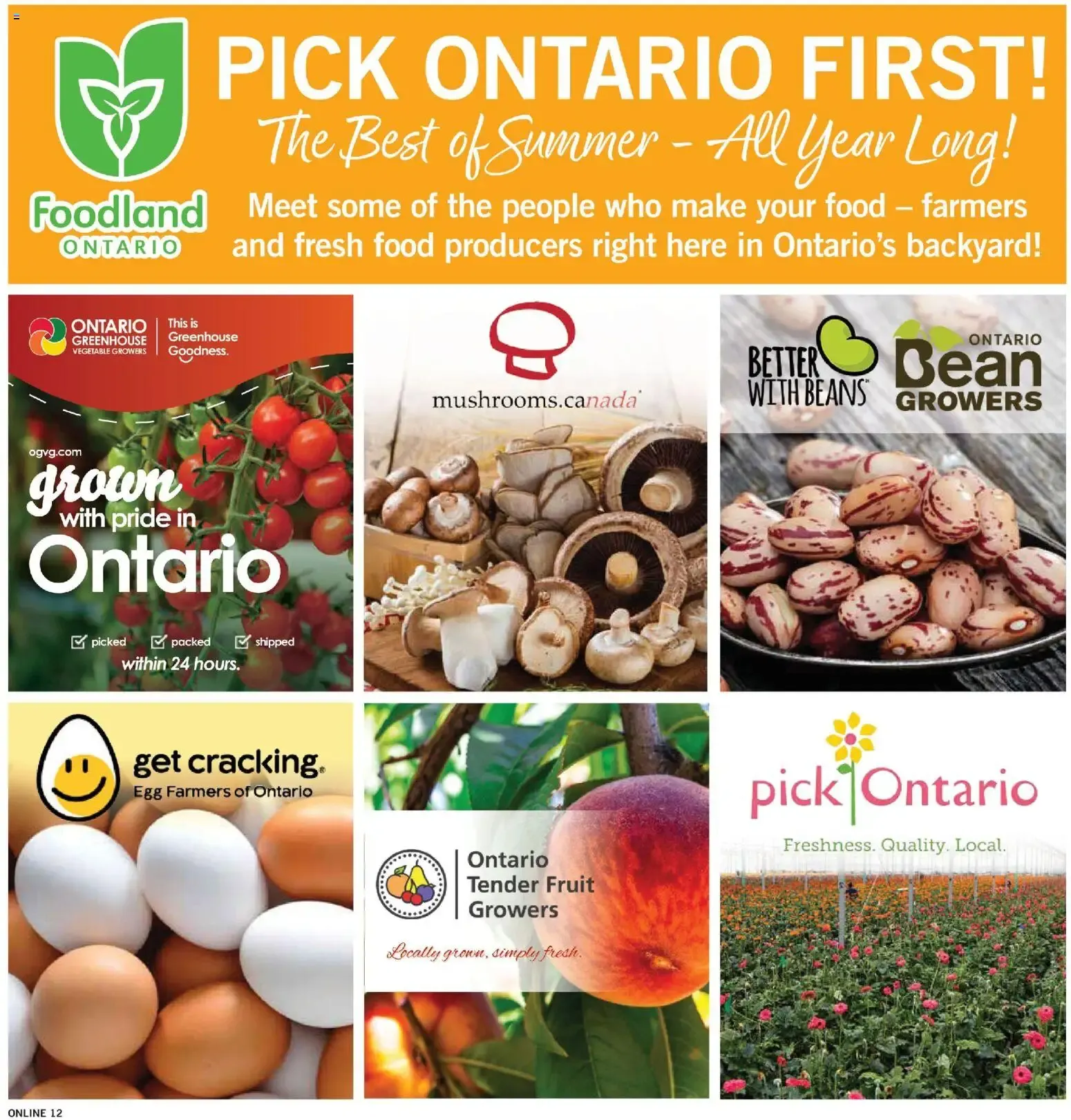 Fortinos weekly flyer / circulaire from Aug 13, 2026 > weekly specials & deals from August 13 to August 19 2026 - flyer page 11