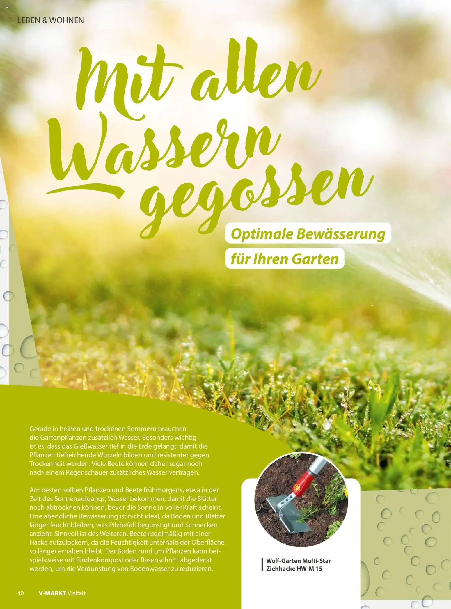 V-MARKT Vielfalt von 1. Juli bis 31. August 2026 - Prospekt seite 40