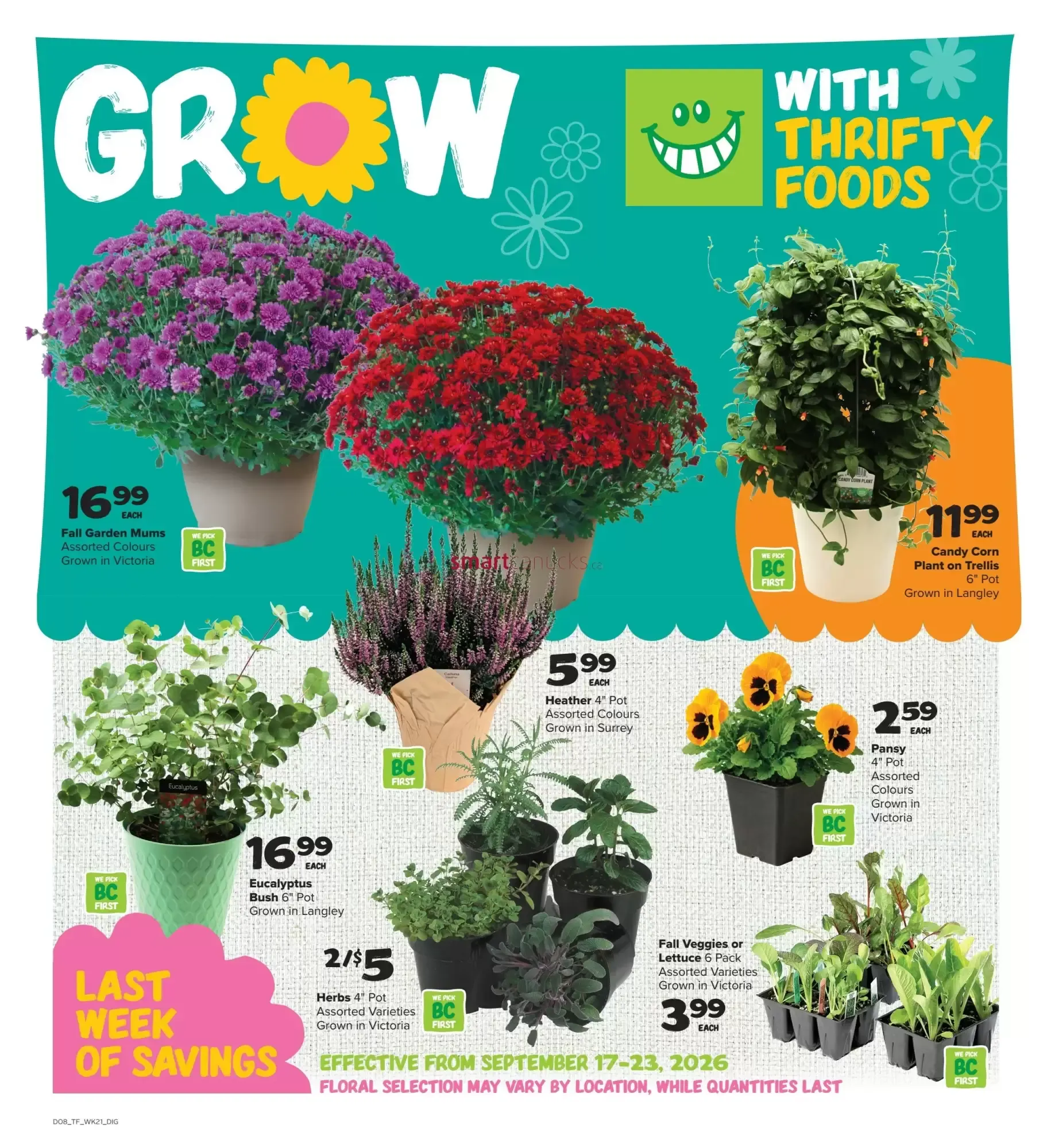 Thrifty Foods from September 17 to September 23 2026 - flyer page 14
