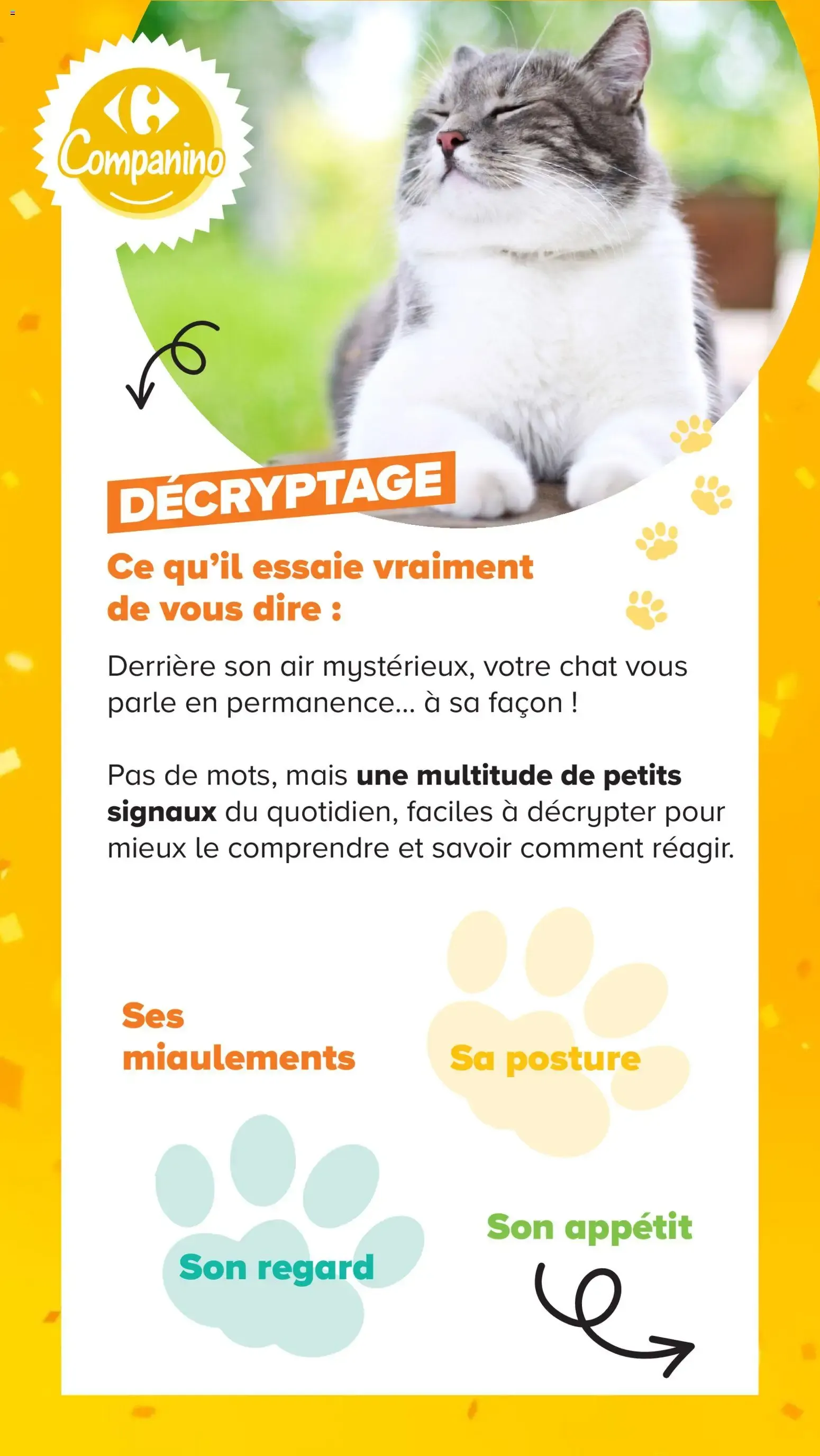 Carrefour Market Découvrez la marque carrefour companino à partir du 04/08/2026 - promo en ligne du 4 août au 7 septembre 2026 - Catalogue page 12
