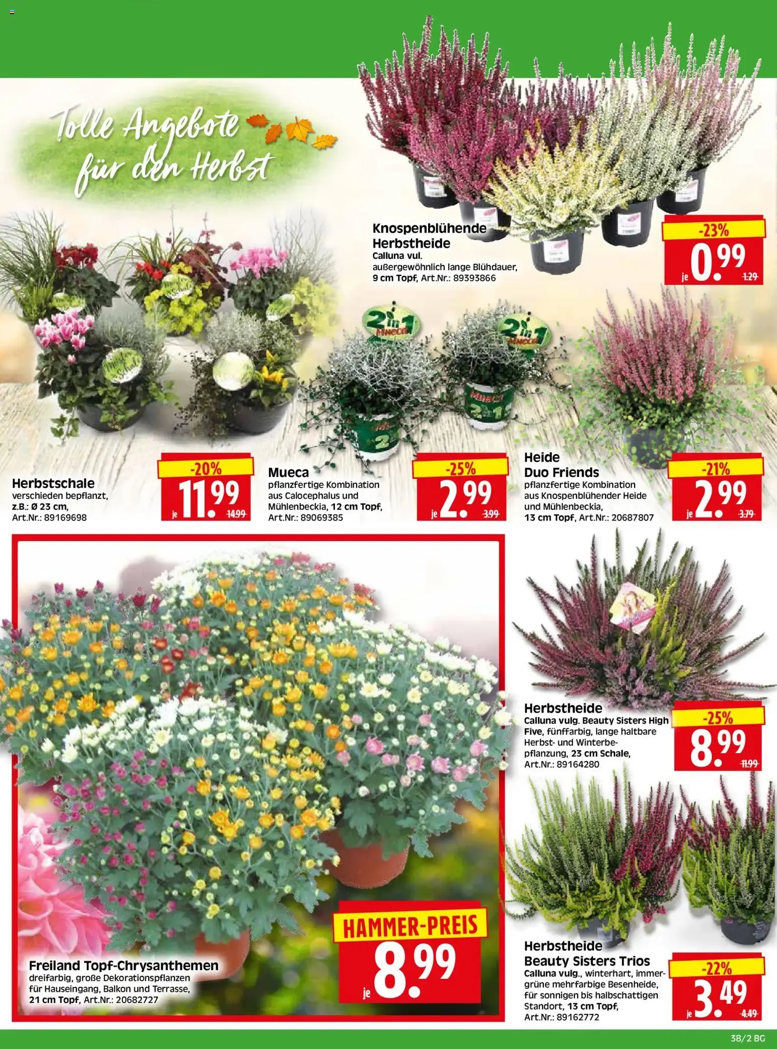 HERKULES Bau & Garten (ab 14.09.2026) zum Blättern von 14. September bis 19. September 2026 - Prospekt seite 2