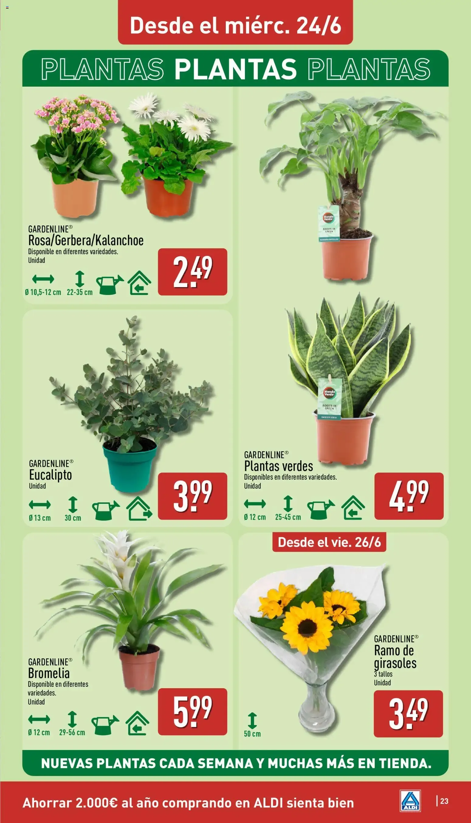 Catálogo de Aldi folleto Península del 22/06/2026 | Catálogo 22 de junio al 28 de junio 2026 - Página 23