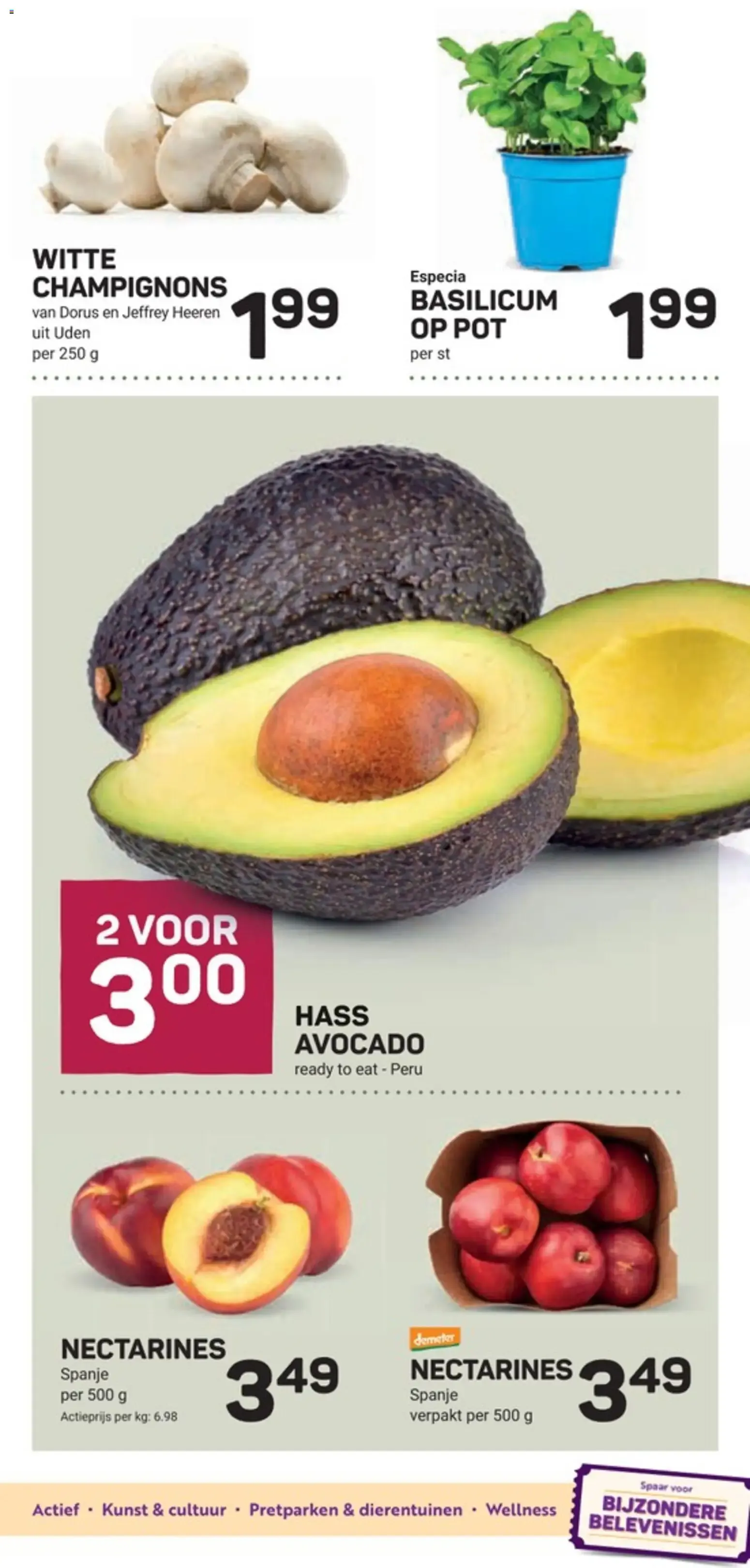 Ekoplaza: De zon in je glas van 15 juli tot 21 juli 2026 - Folder pagina 9