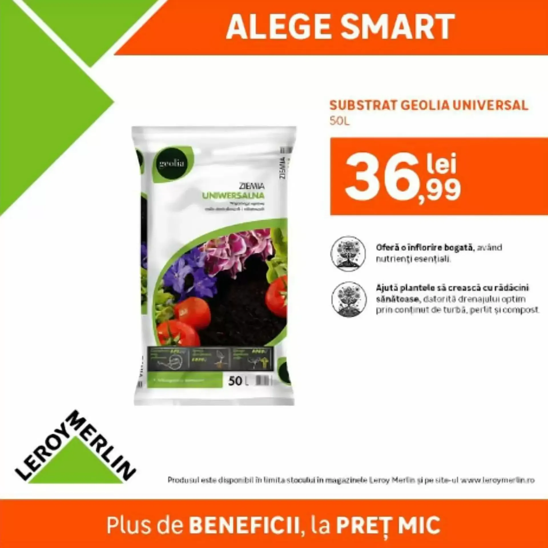 Catalog ADEZIV FLEXIBIL PLACARI CERAMICE INT/EXT, AXTON 25 KG, GRI de la 16 iulie până la 29 iulie 2026 - Revista Pagina 5