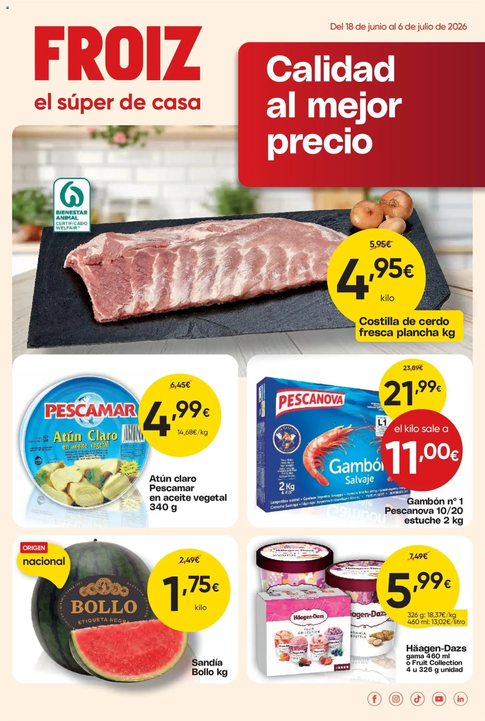 Catálogo de Froiz folleto del 18/06/2026 | Ofertas 18 de junio al 6 de julio 2026 - Página 1