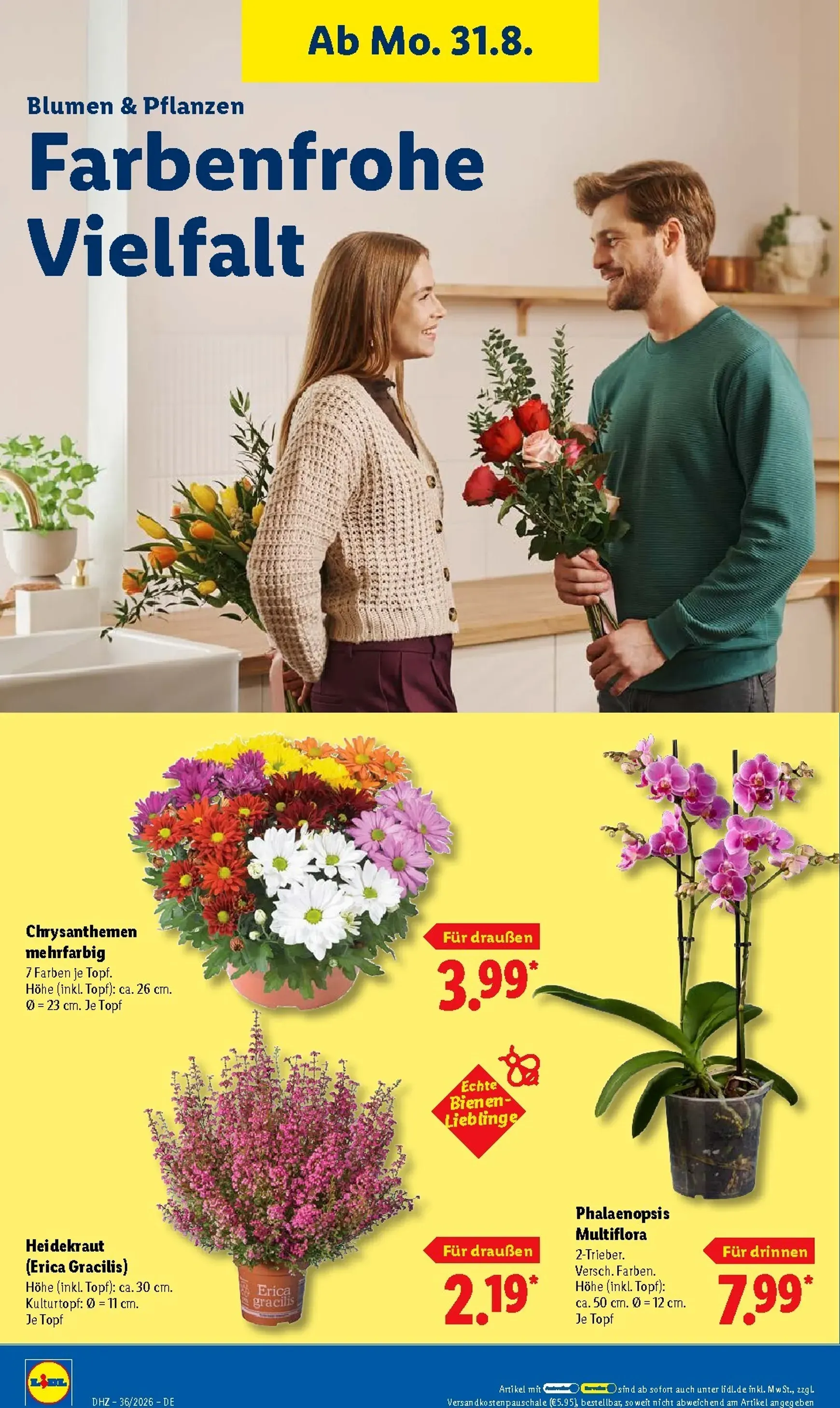 Lidl - Nonfood Prospekt nächste Woche – von Montag 31.08.2026 bis Samstag 05.09.2026 von 31. August bis 5. September 2026 - Prospekt seite 27