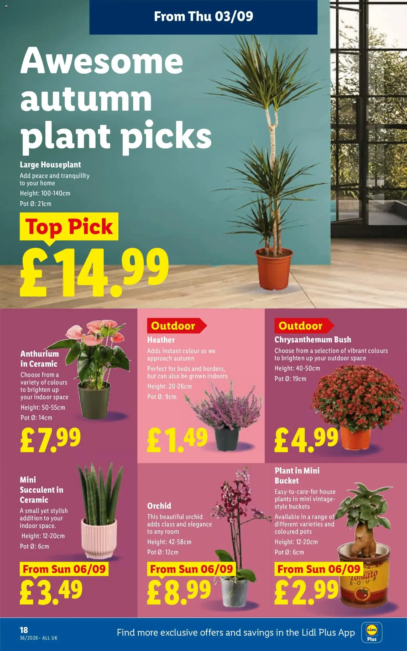 Weekly offers Lidl Scotland (03/09/2026 - 09/09/2026) - Offers Online from 3 September to 9 September 2026 - Catalogue Page 20