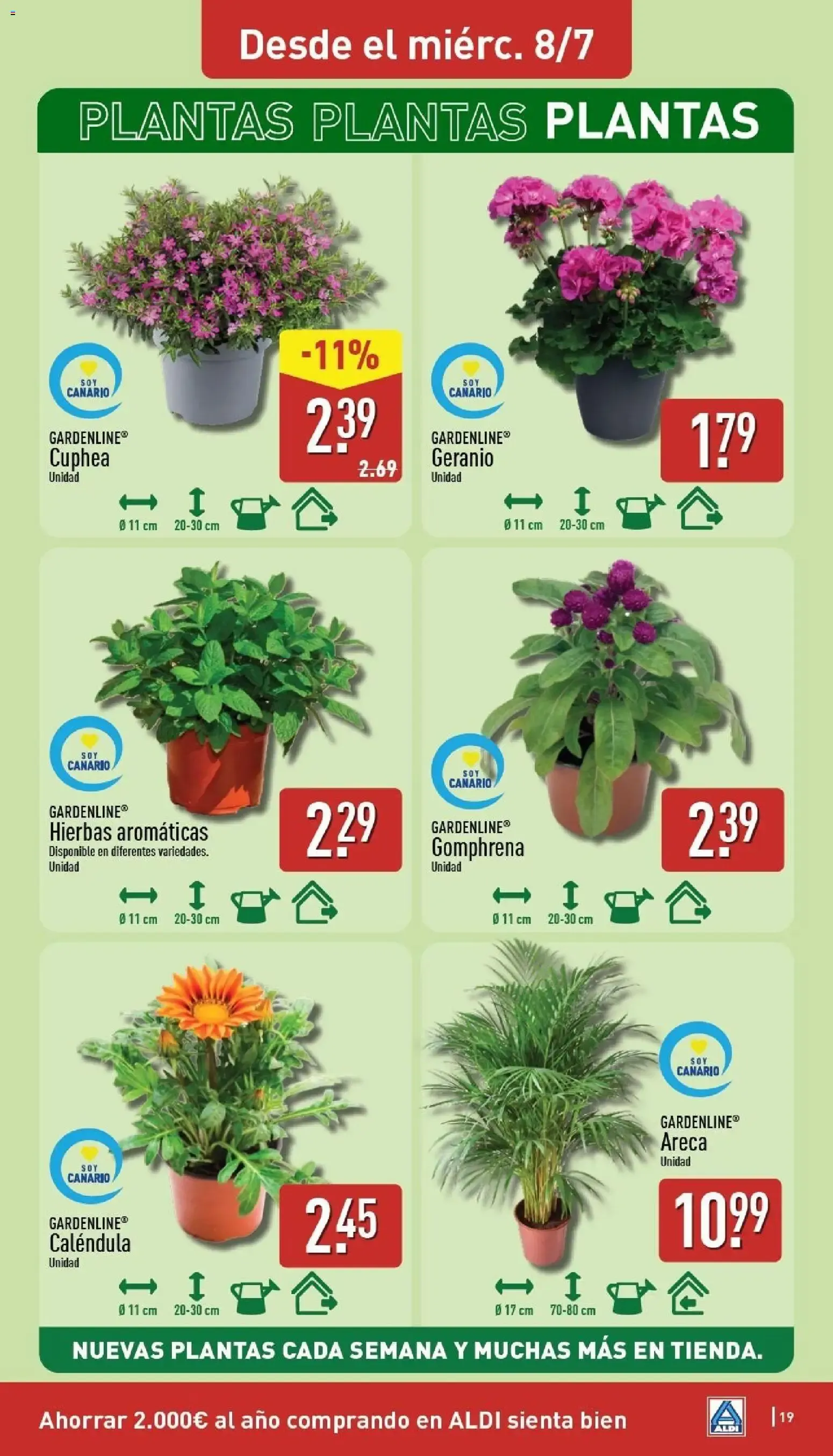 Catálogo de Un baño de frescura al mejor precio. 6 de julio al 12 de julio 2026 - Página 19
