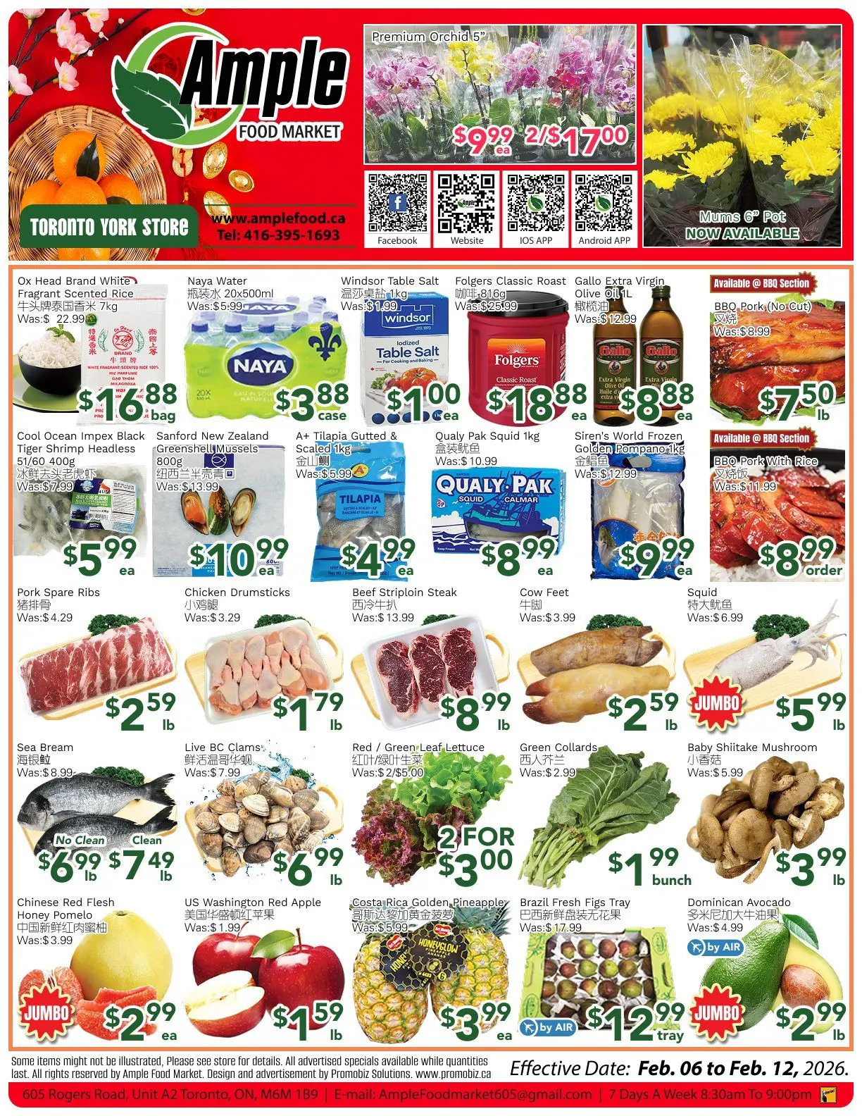 Ample Food Market Sales from February 6 to February 12 2026 - flyer page 