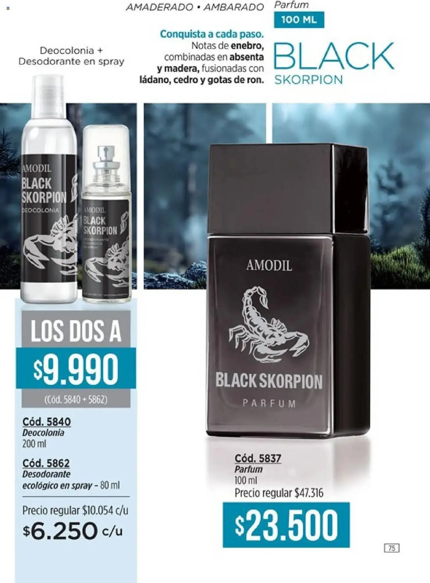 Ofertas de Catálogo Amodil 26 de junio al 21 de julio 2025 - Página 75 del catálogo