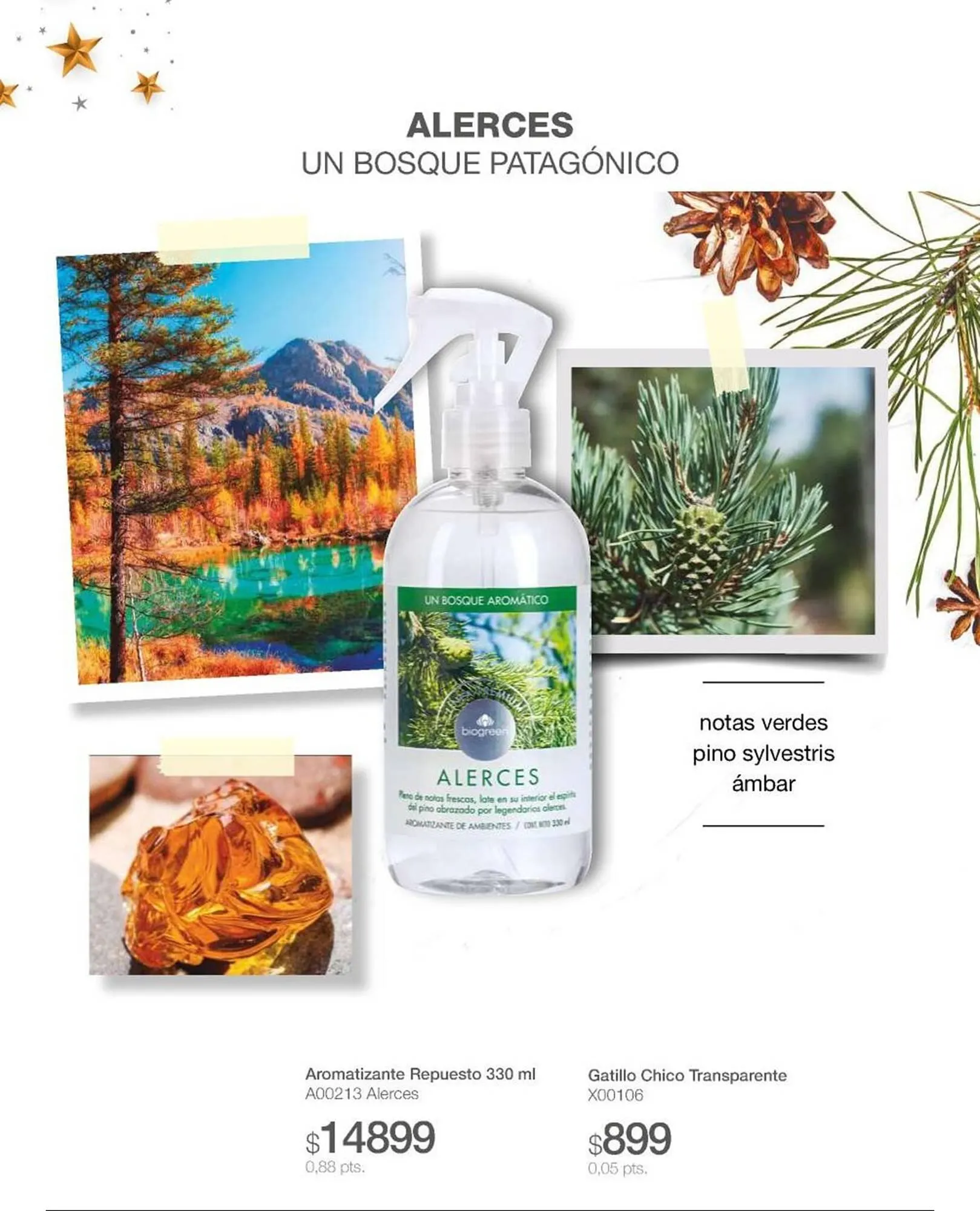 Ofertas de Catálogo Biogreen 30 de enero al 30 de abril 2026 - Página 45 del catálogo