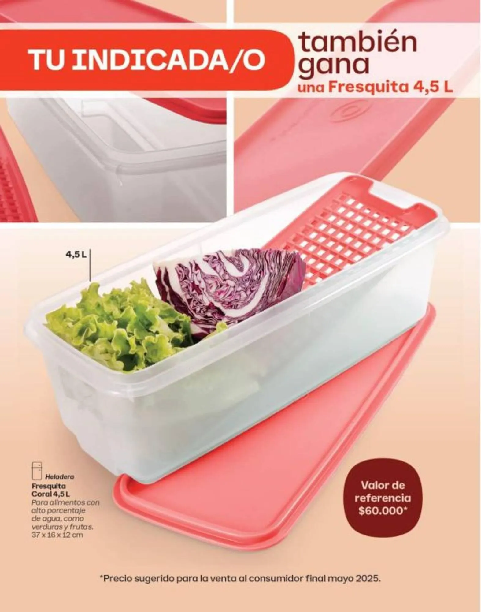 Ofertas de Catálogo Tupperware 1 de julio al 31 de agosto 2025 - Página 5 del catálogo