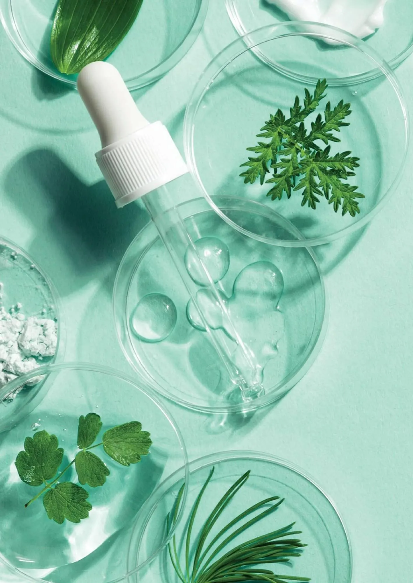 Ofertas de Catálogo Reino Cosmética 8 de mayo al 31 de mayo 2025 - Página 224 del catálogo