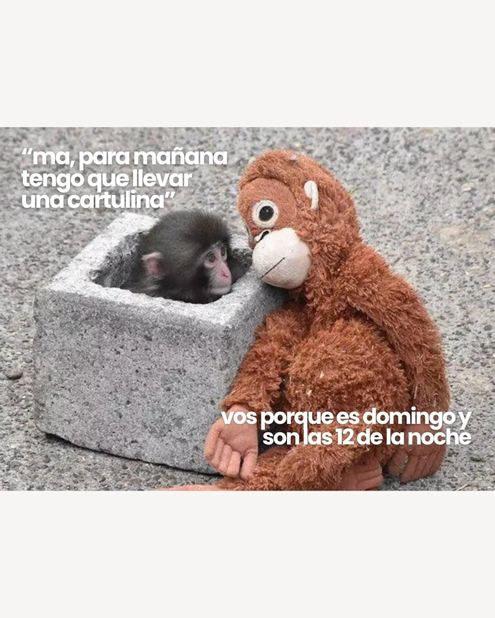 Ofertas de Catálogo Jugueterias Carrousel 3 de marzo al 10 de marzo 2026 - Página 4 del catálogo