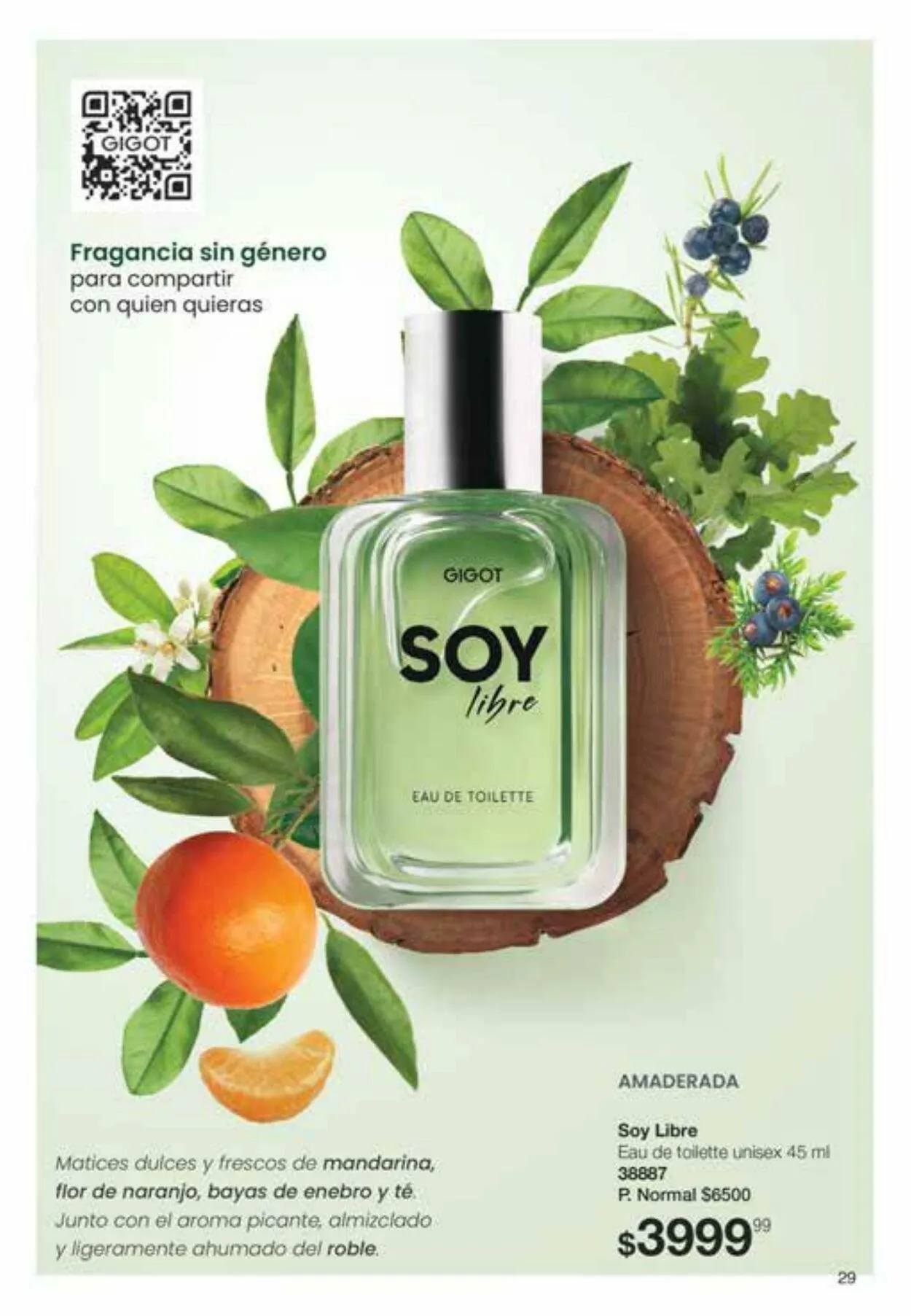 Ofertas de Gigot 6 de octubre al 31 de octubre 2023 - Página 29 del catálogo