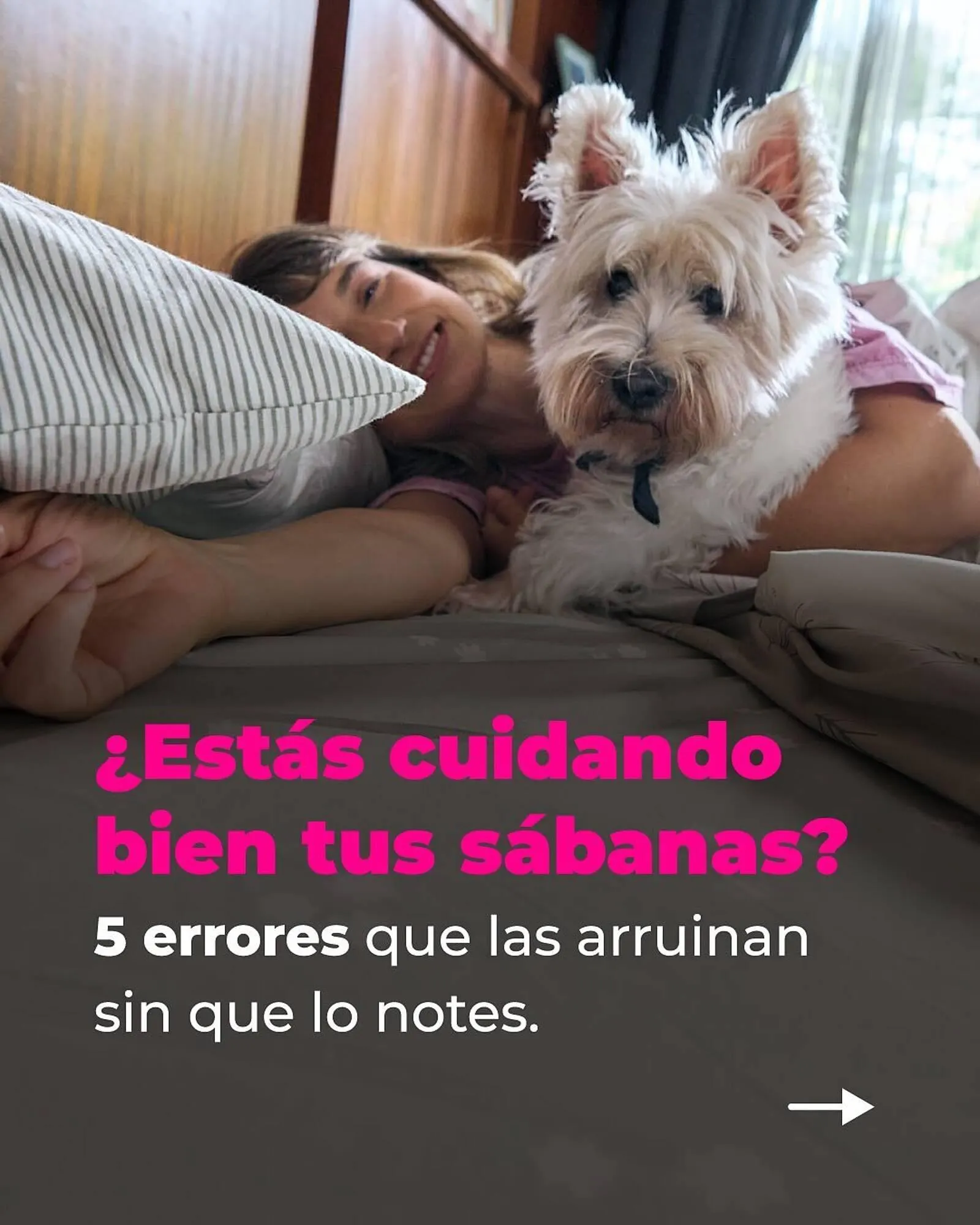 Catálogo Arredo - 1