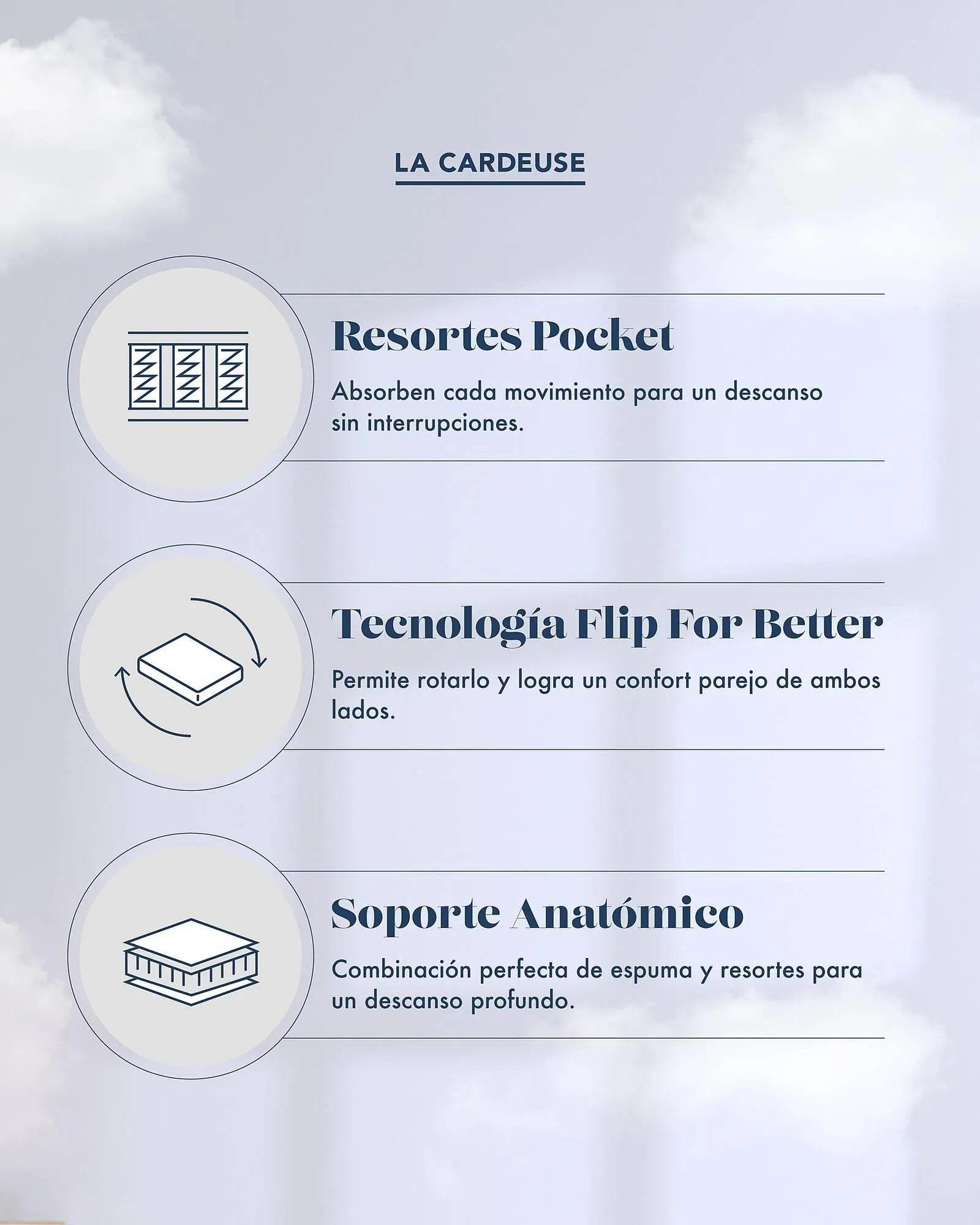 Ofertas de Catálogo La Cardeuse 12 de septiembre al 30 de septiembre 2025 - Página 2 del catálogo