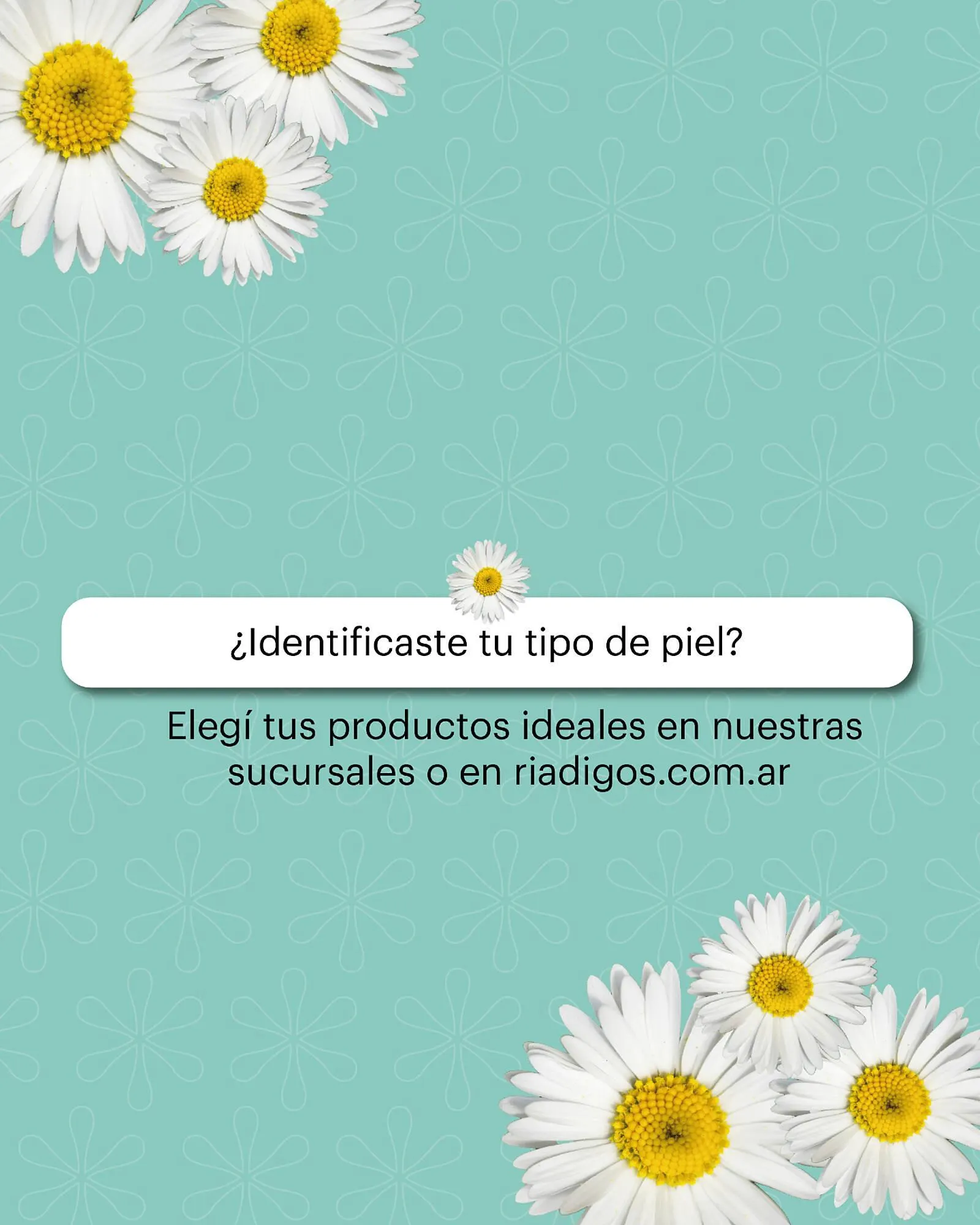 Ofertas de Catálogo Riadigos 15 de noviembre al 17 de noviembre 2025 - Página 4 del catálogo