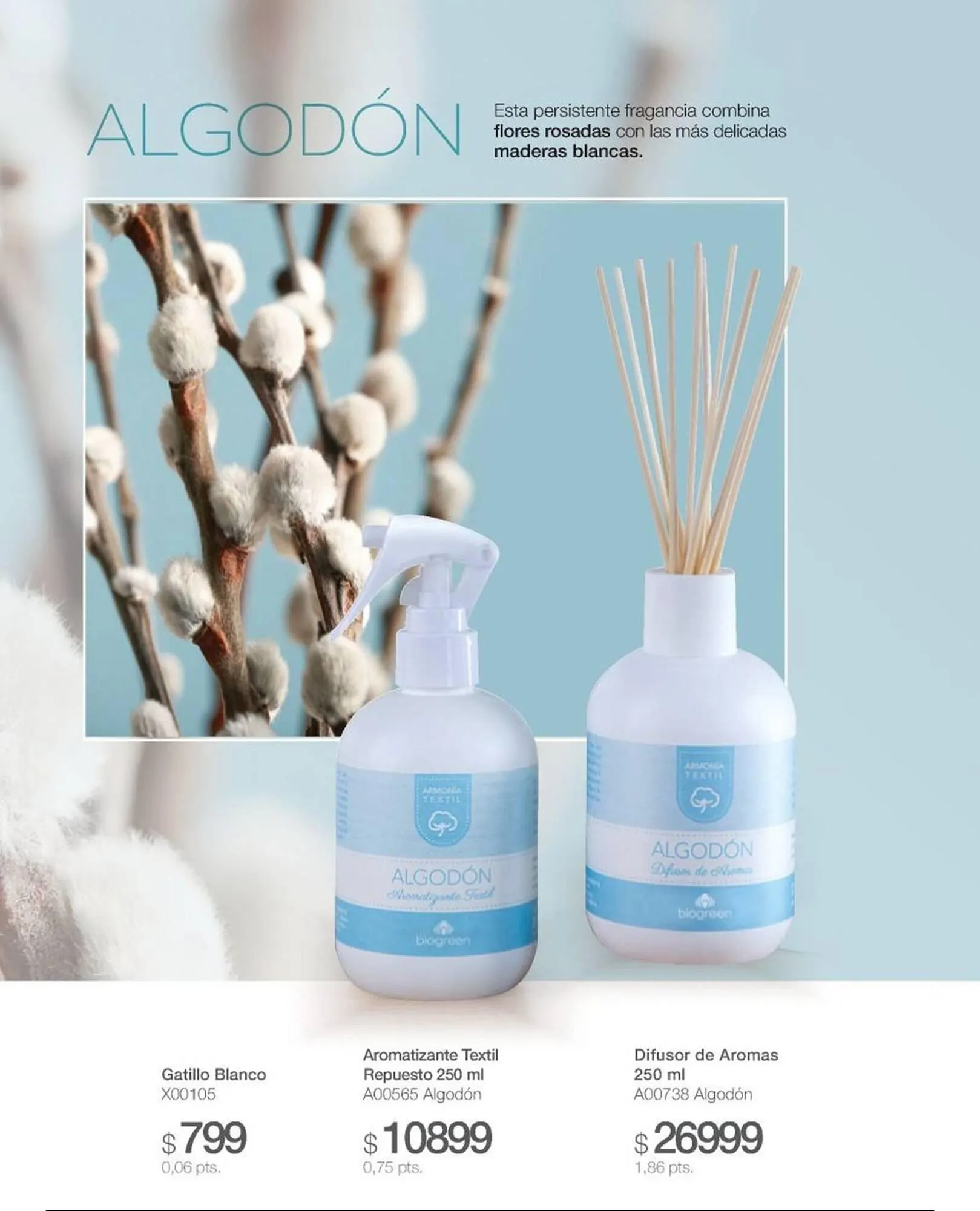 Ofertas de Catálogo Biogreen 15 de mayo al 31 de mayo 2025 - Página 40 del catálogo