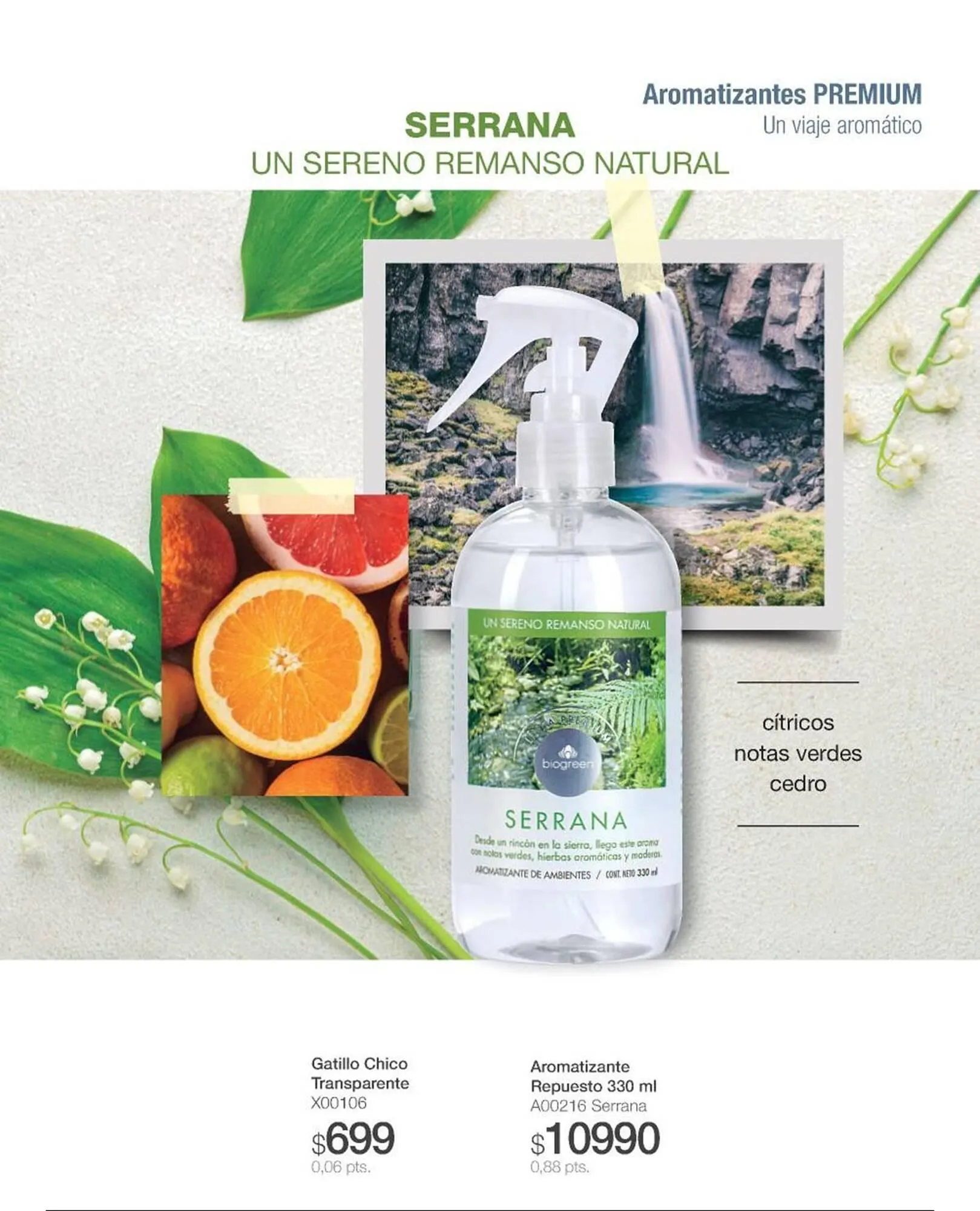 Ofertas de Catálogo Biogreen 10 de marzo al 16 de marzo 2025 - Página 11 del catálogo