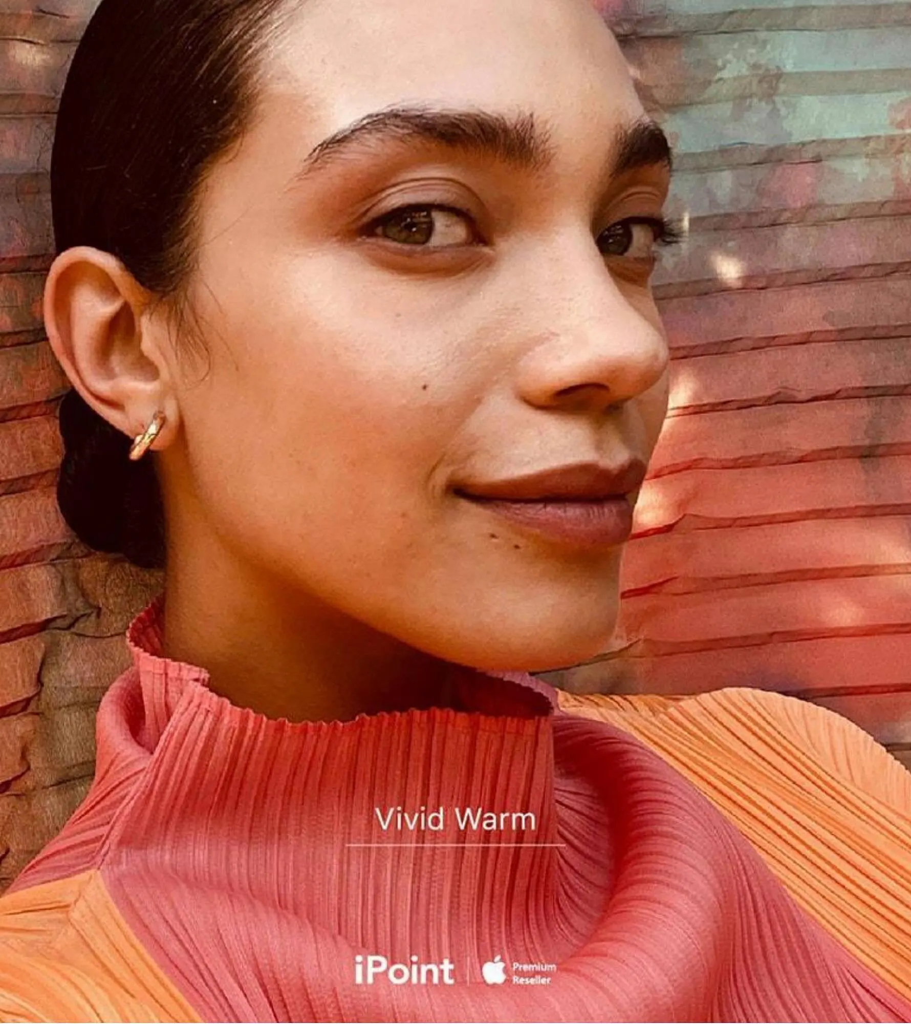 Catálogo iPoint - 1