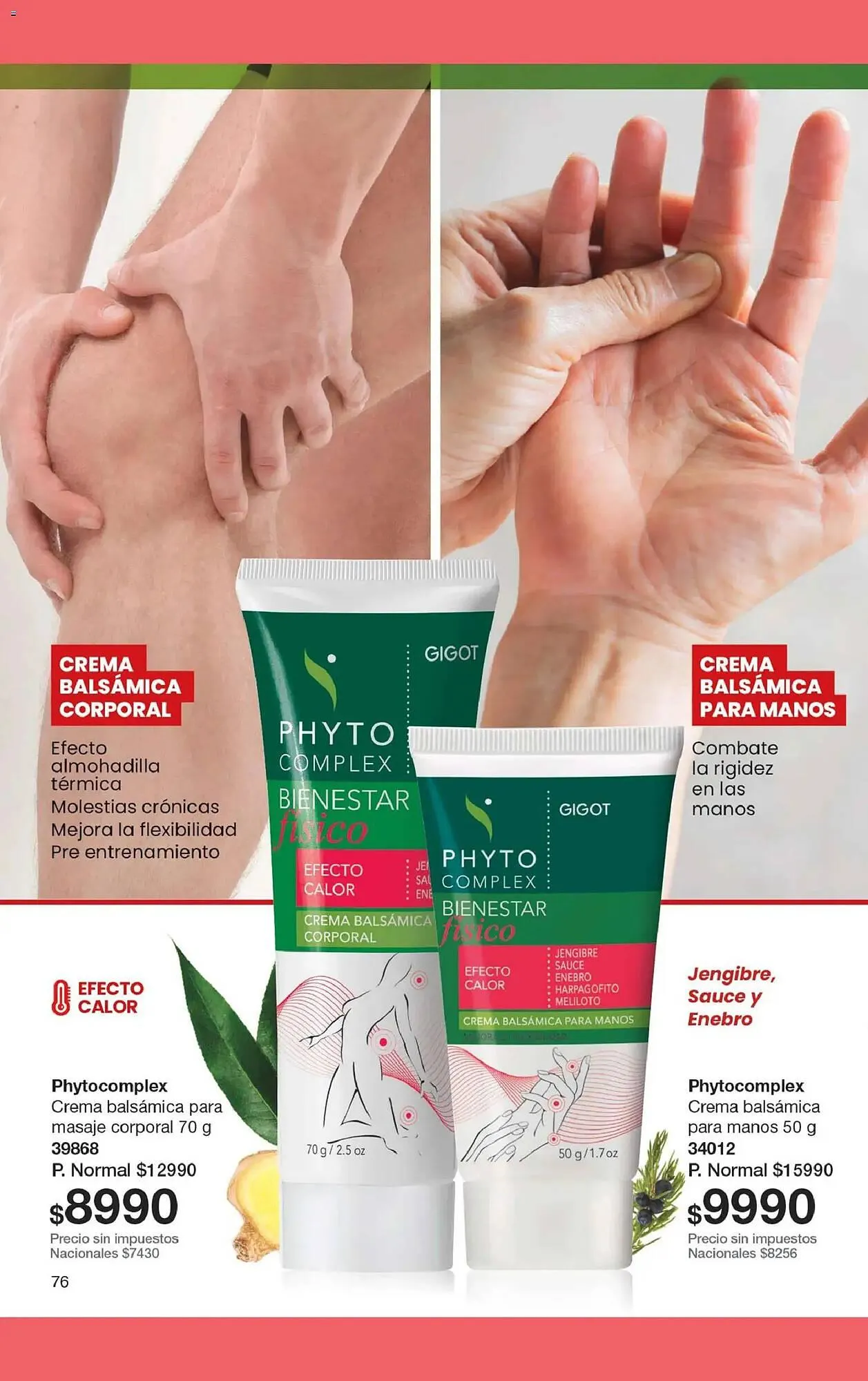 Ofertas de Folleto Gigot 30 de abril al 17 de mayo 2026 - Página 91 del catálogo